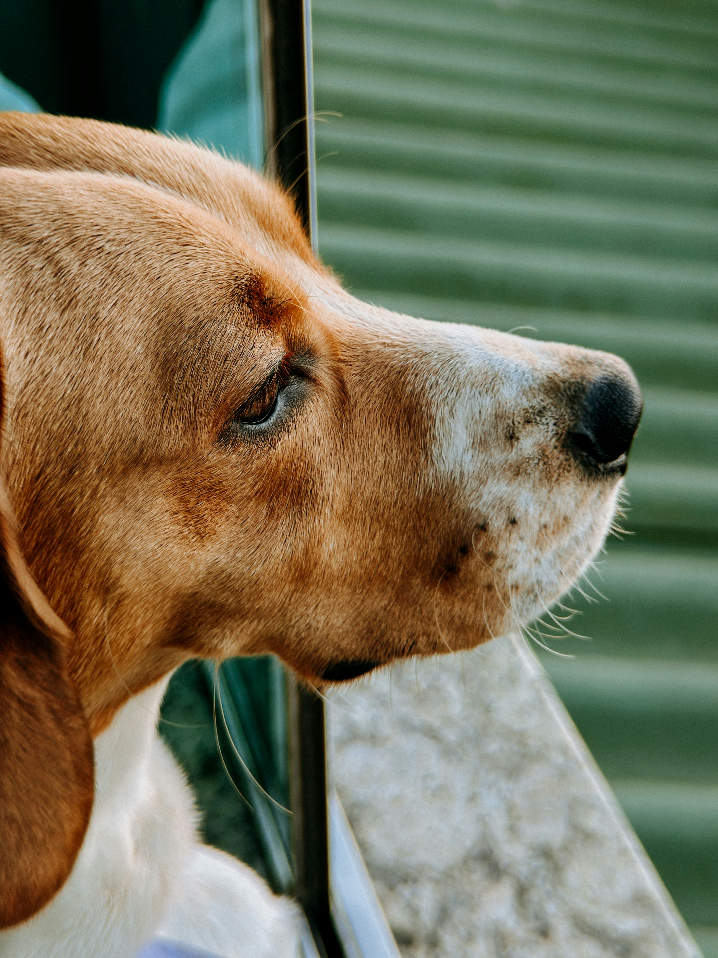 Photo by janilson_oficial