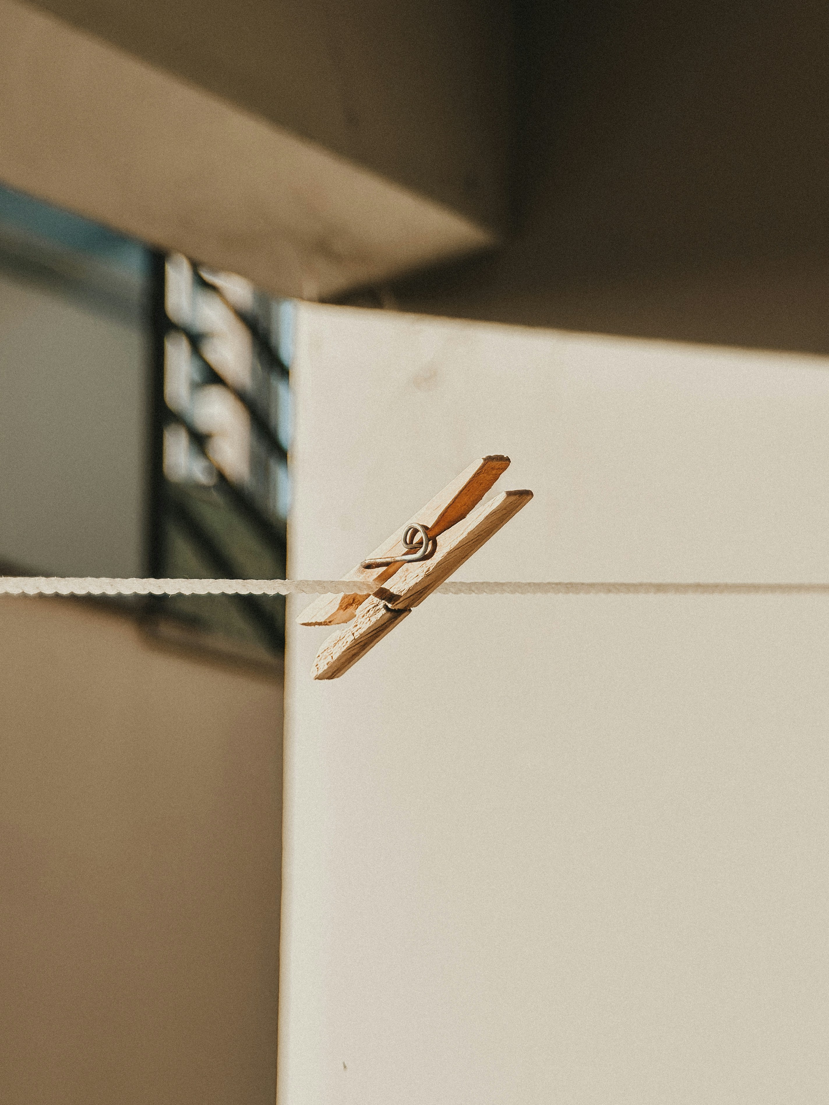 Photo by janilson_oficial