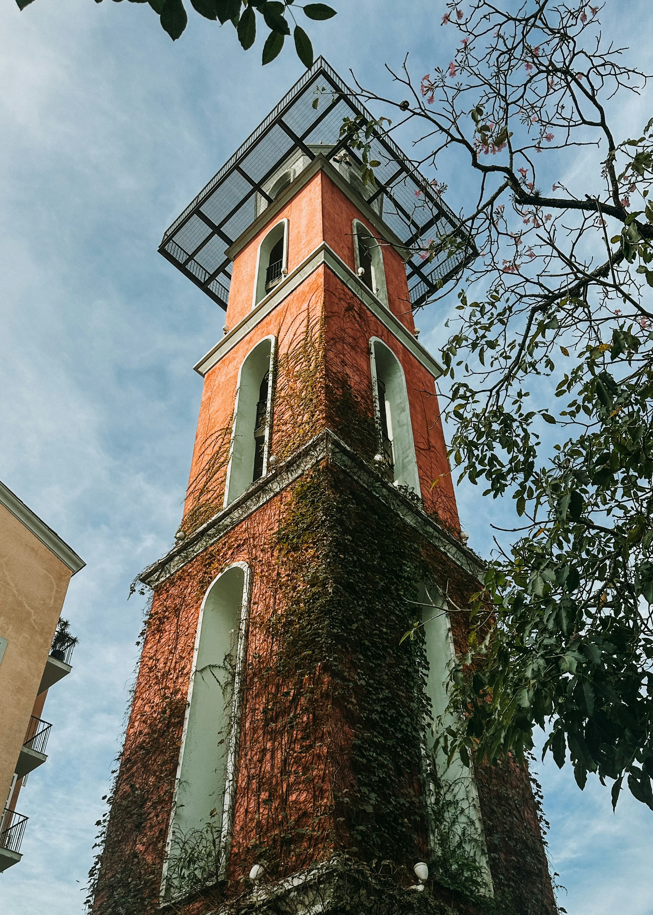 Photo by janilson_oficial