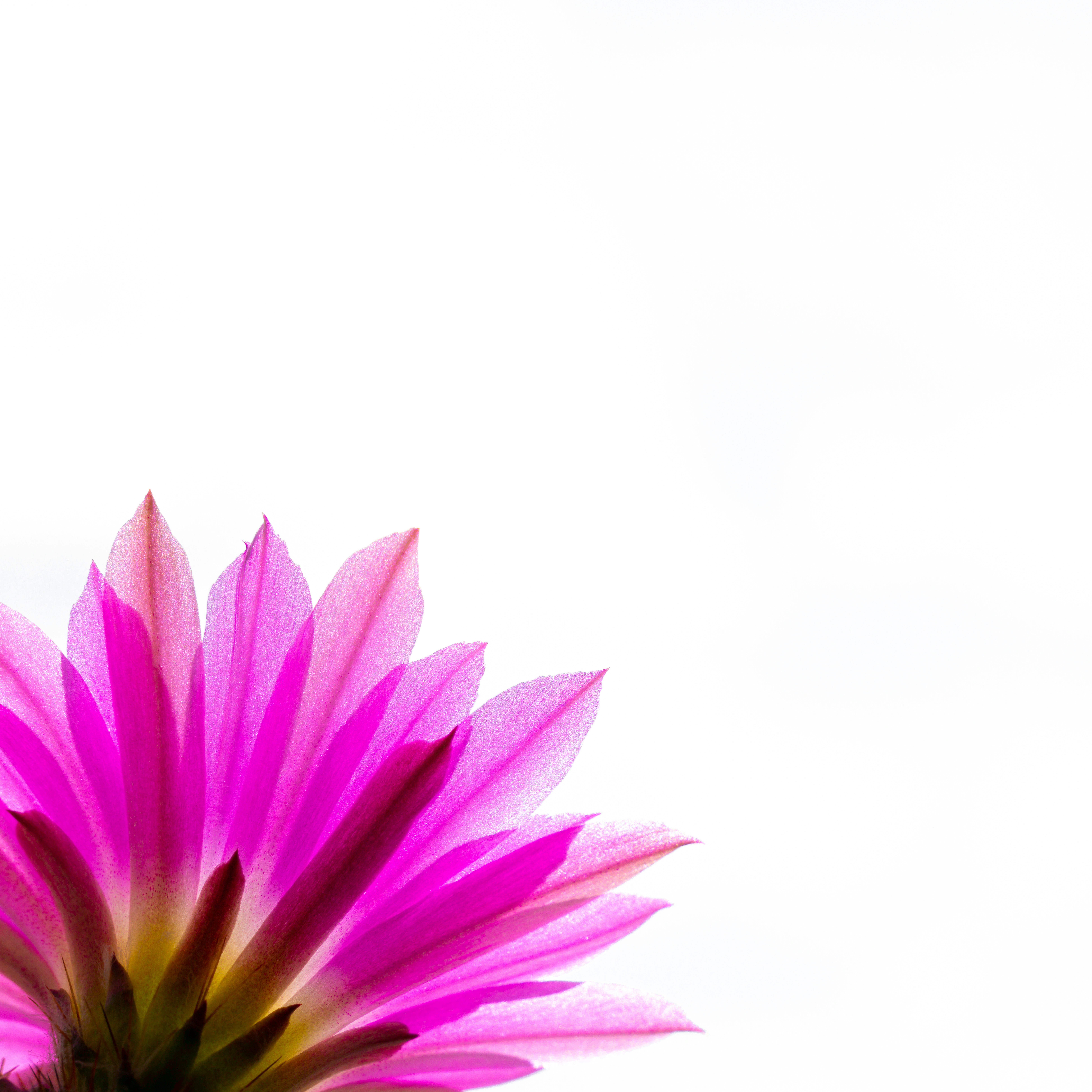 Photo by sschusterphotoart