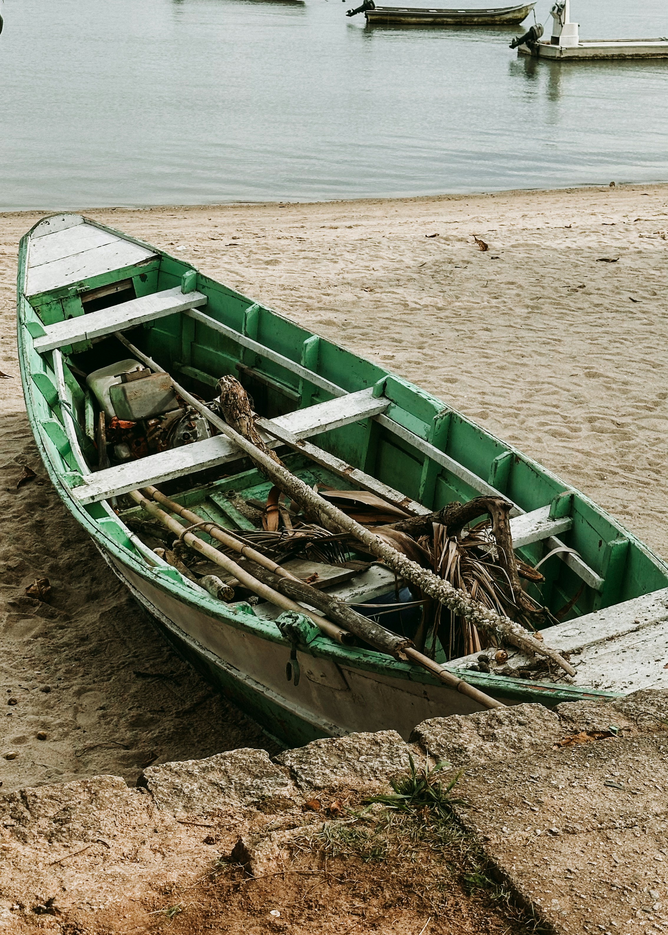 Photo by janilson_oficial