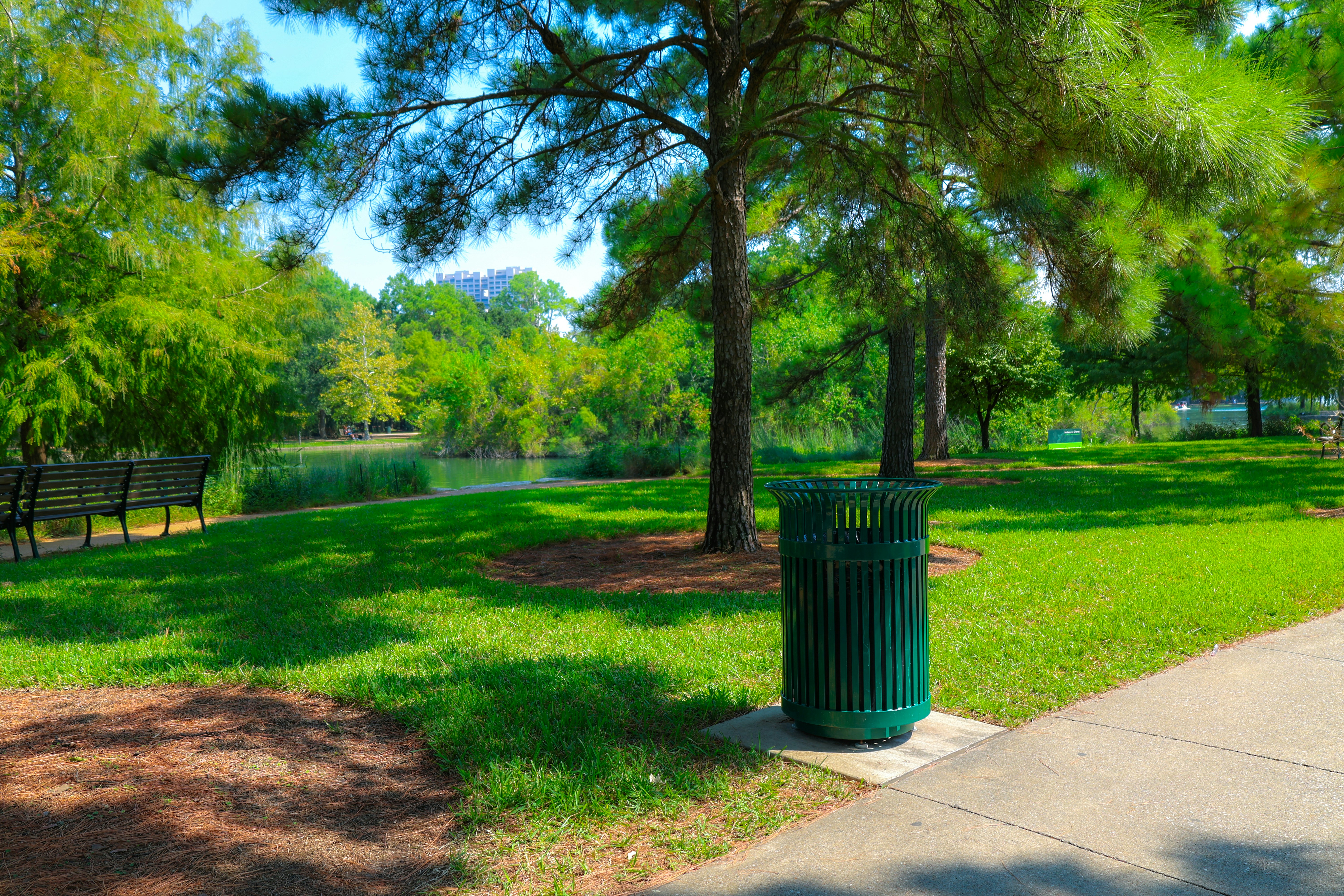 Green park with trees, benches, and a lake.