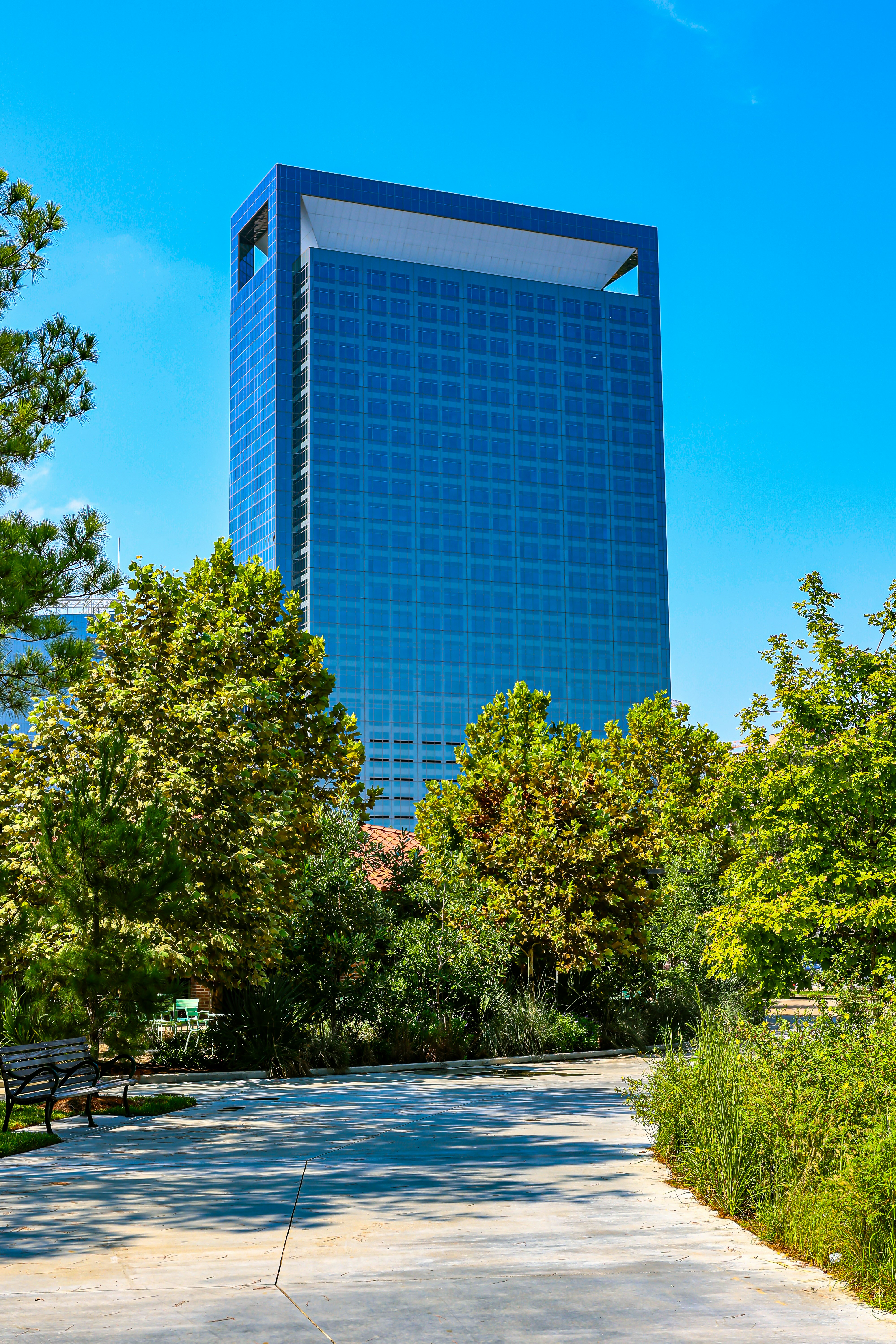 Modern glass skyscraper surrounded by lush green trees.