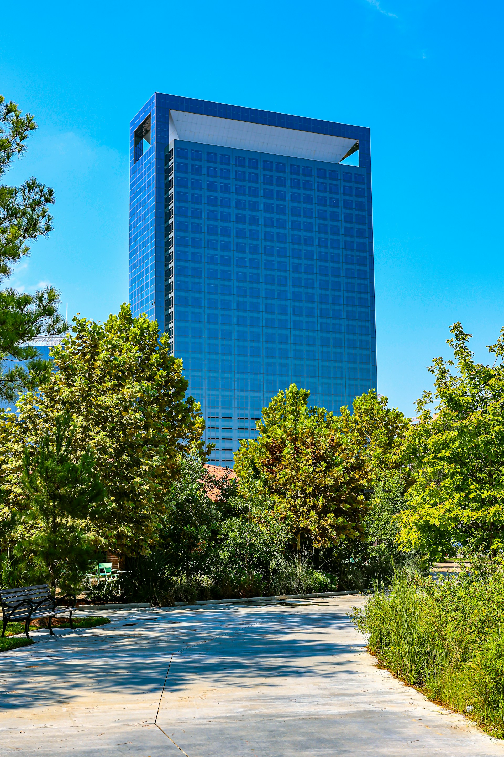 Modern glass skyscraper surrounded by lush green trees.