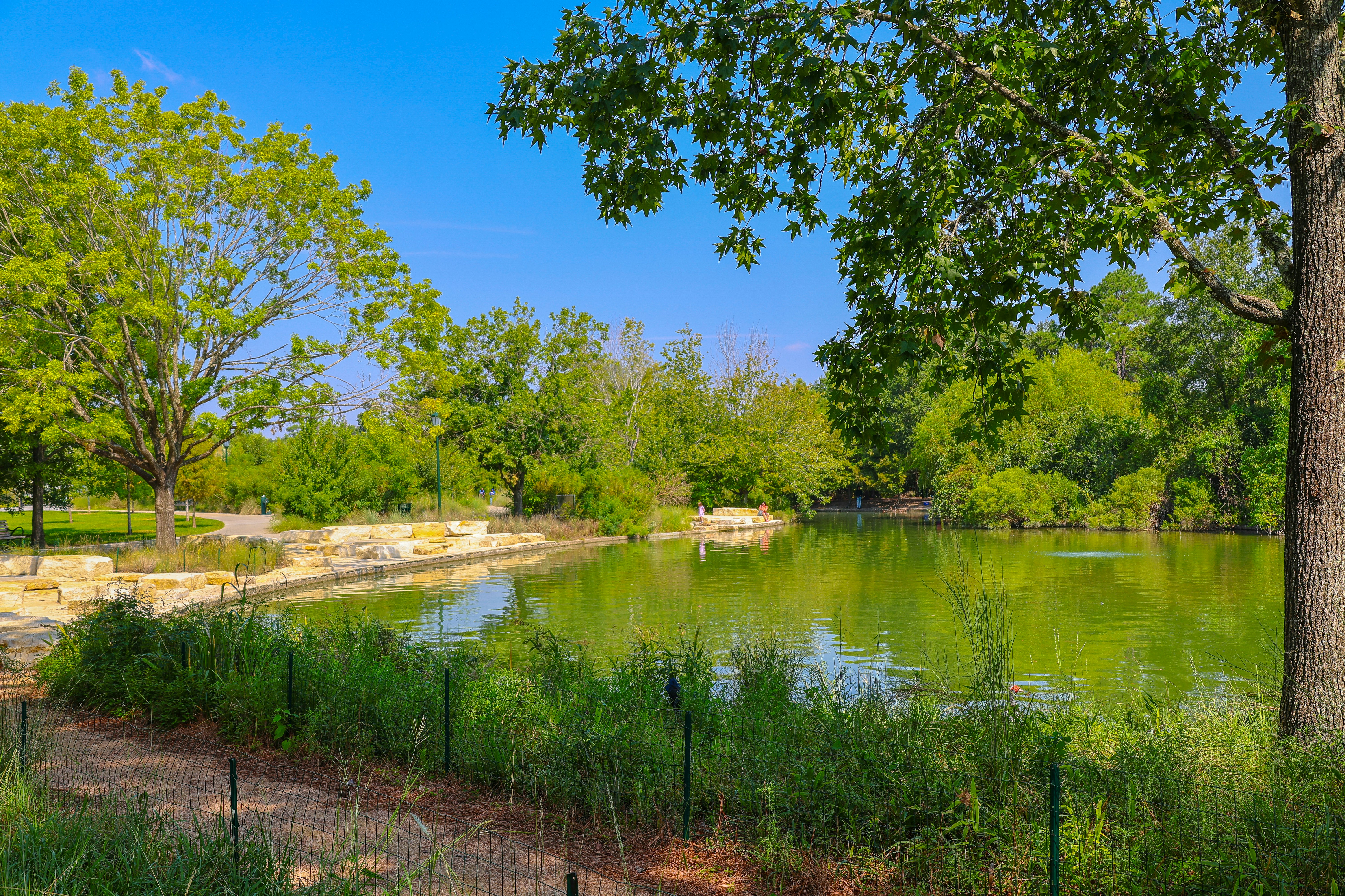 Tranquil pond surrounded by lush green trees and foliage.
