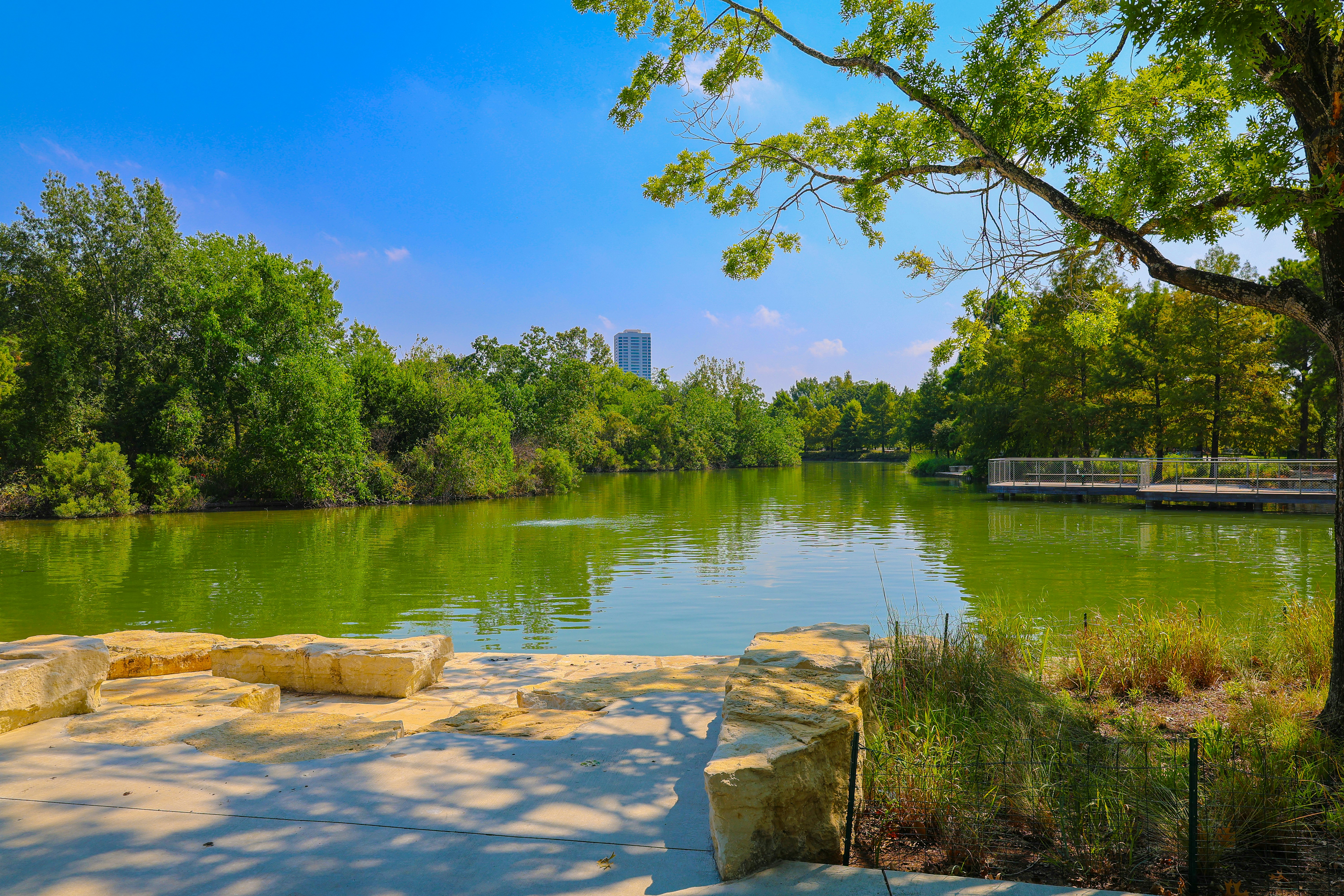 Green lake surrounded by trees under a blue sky