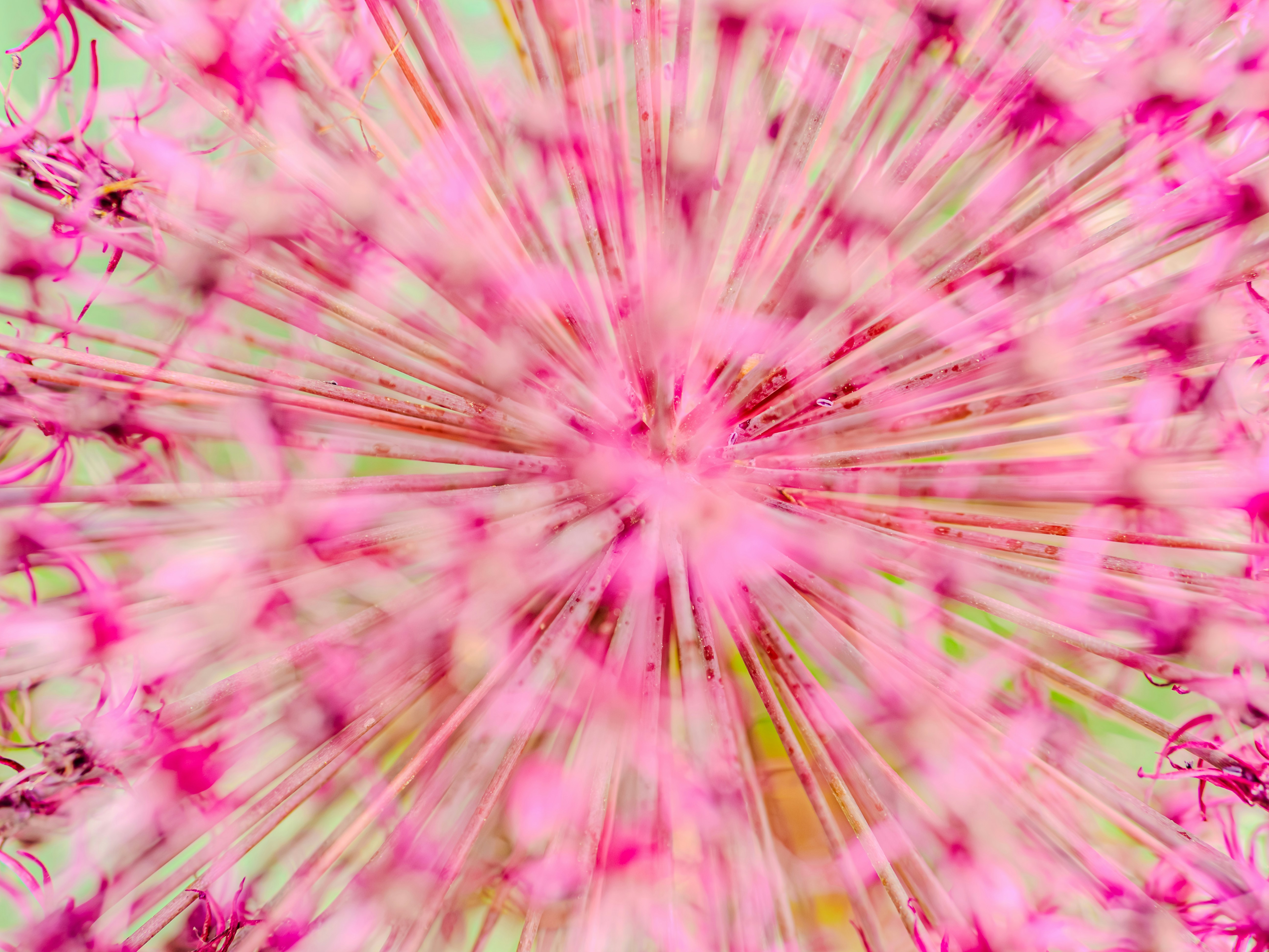 Photo by sschusterphotoart