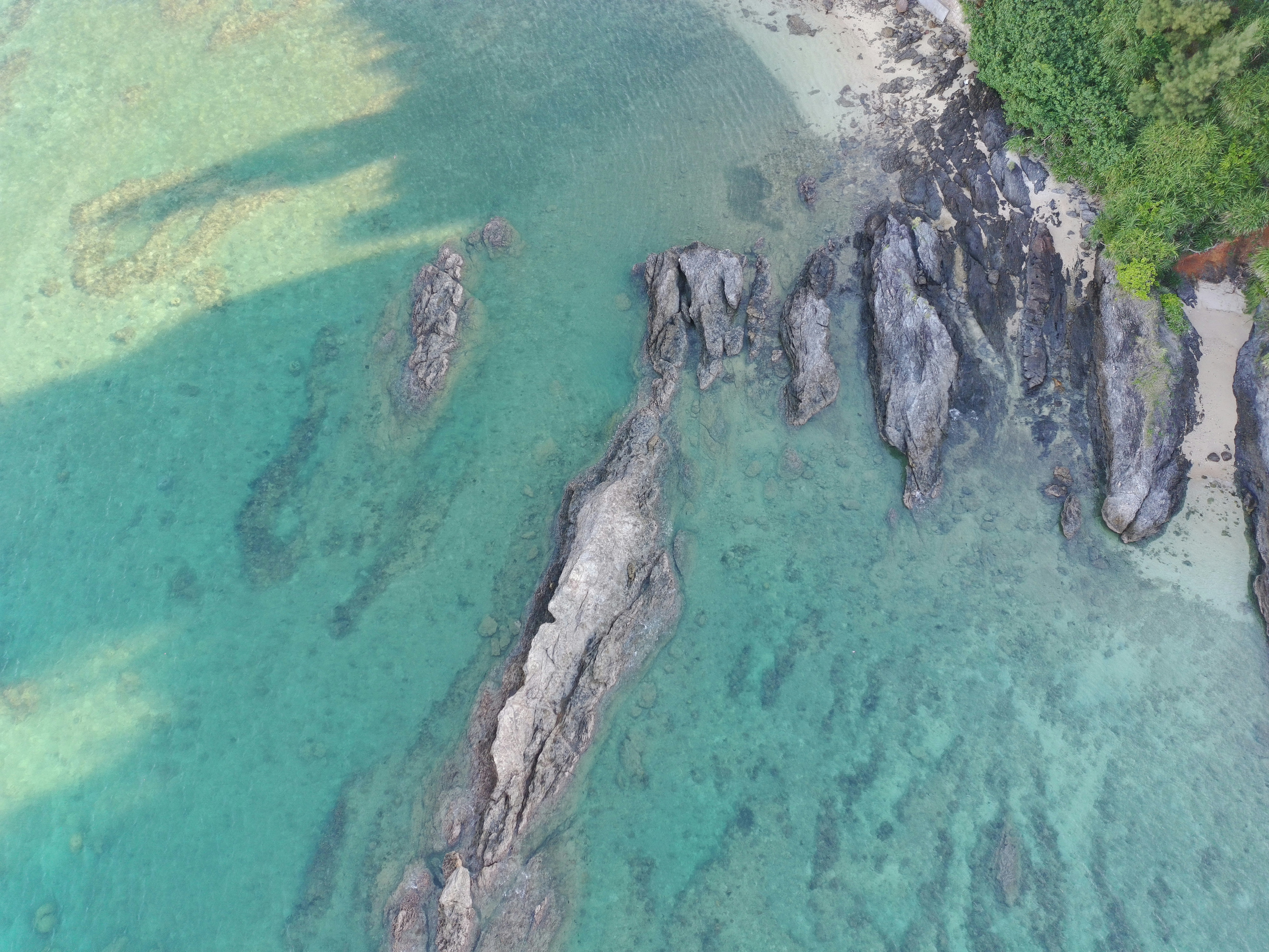 Photo by erikmagkekse