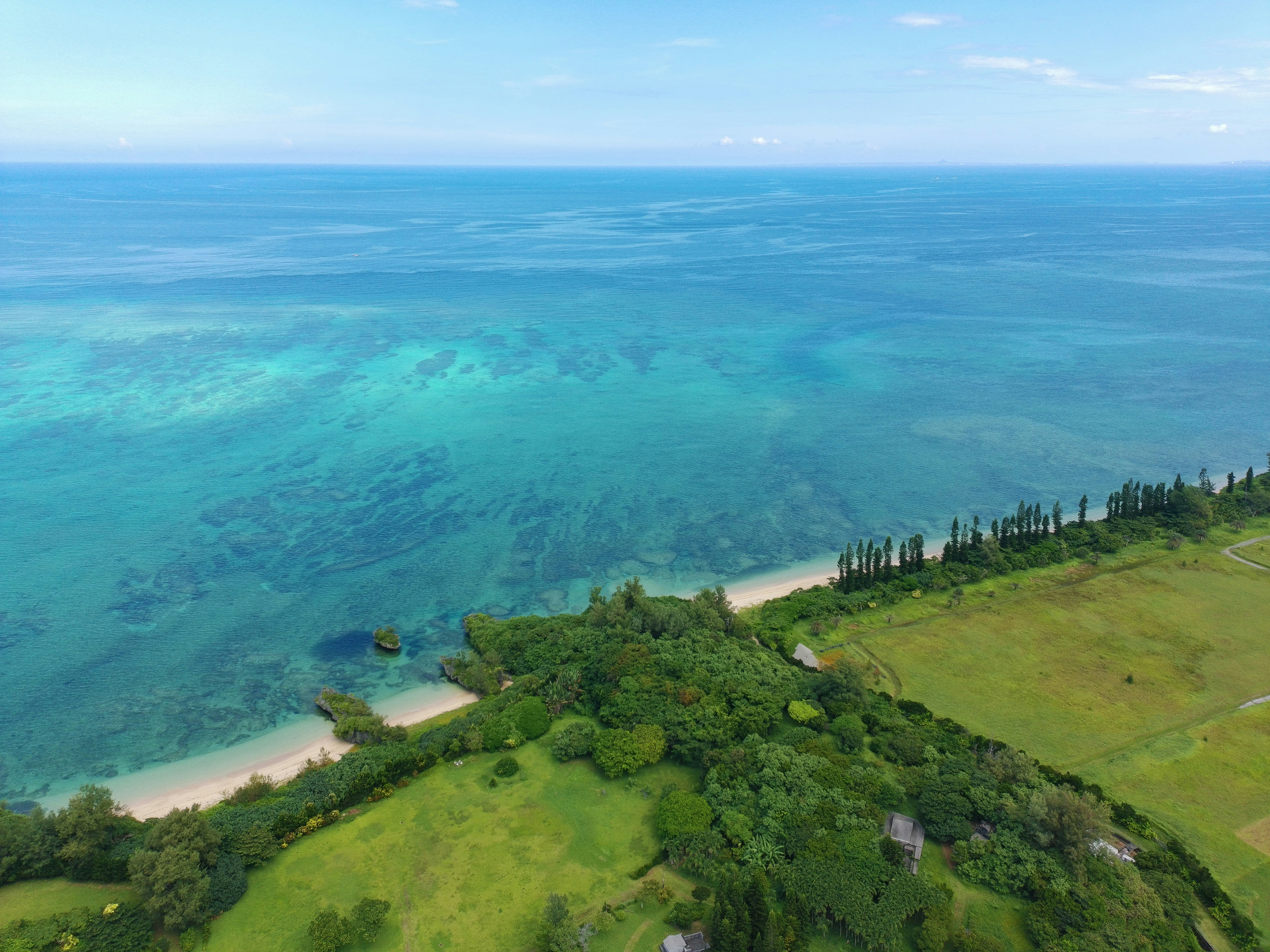 Photo by erikmagkekse