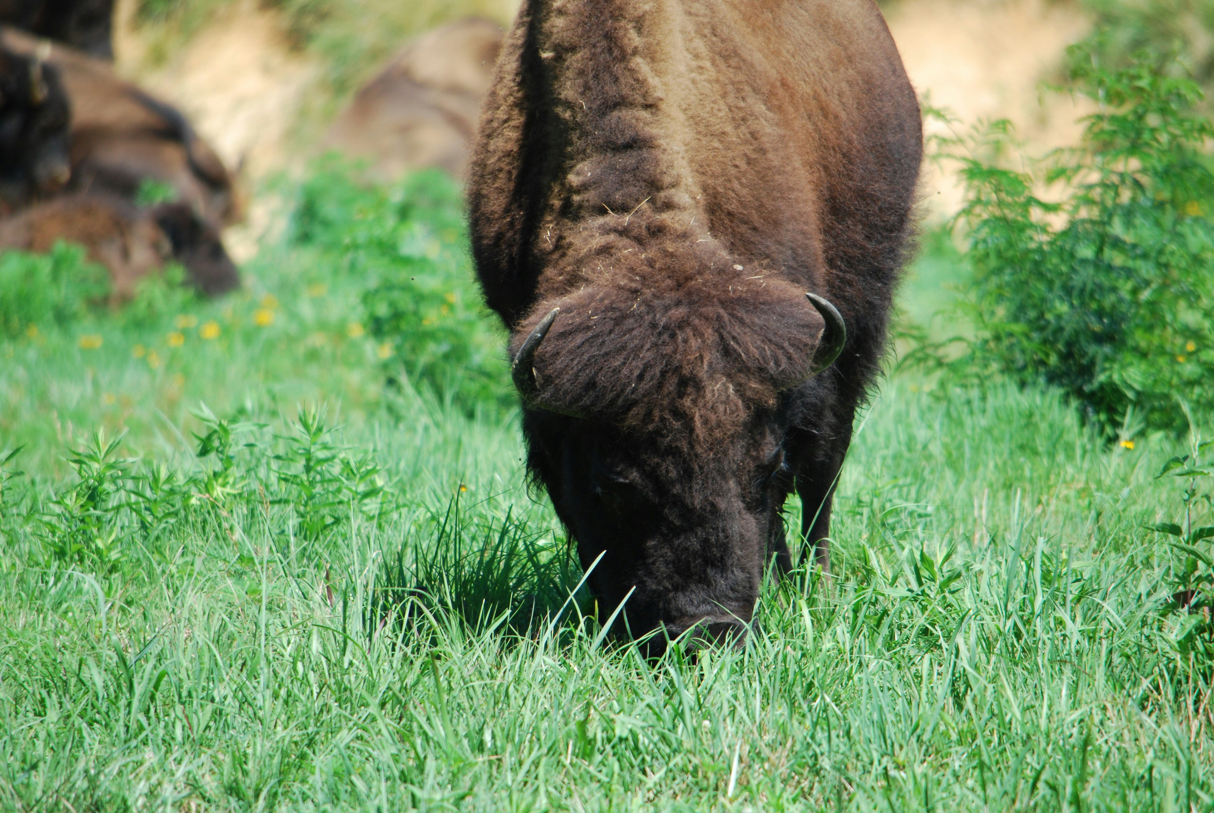 Photo by trailshutter