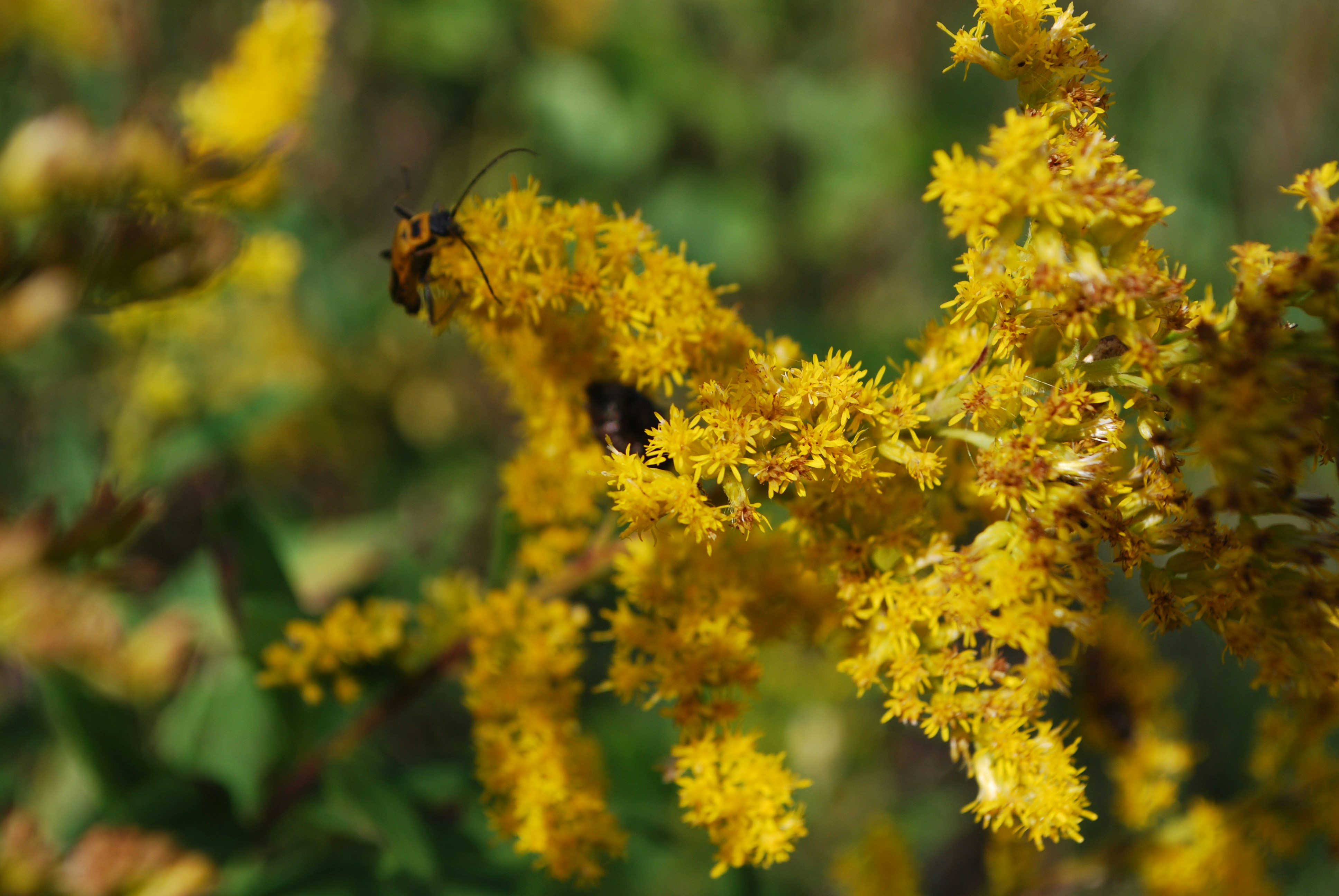 Photo by trailshutter