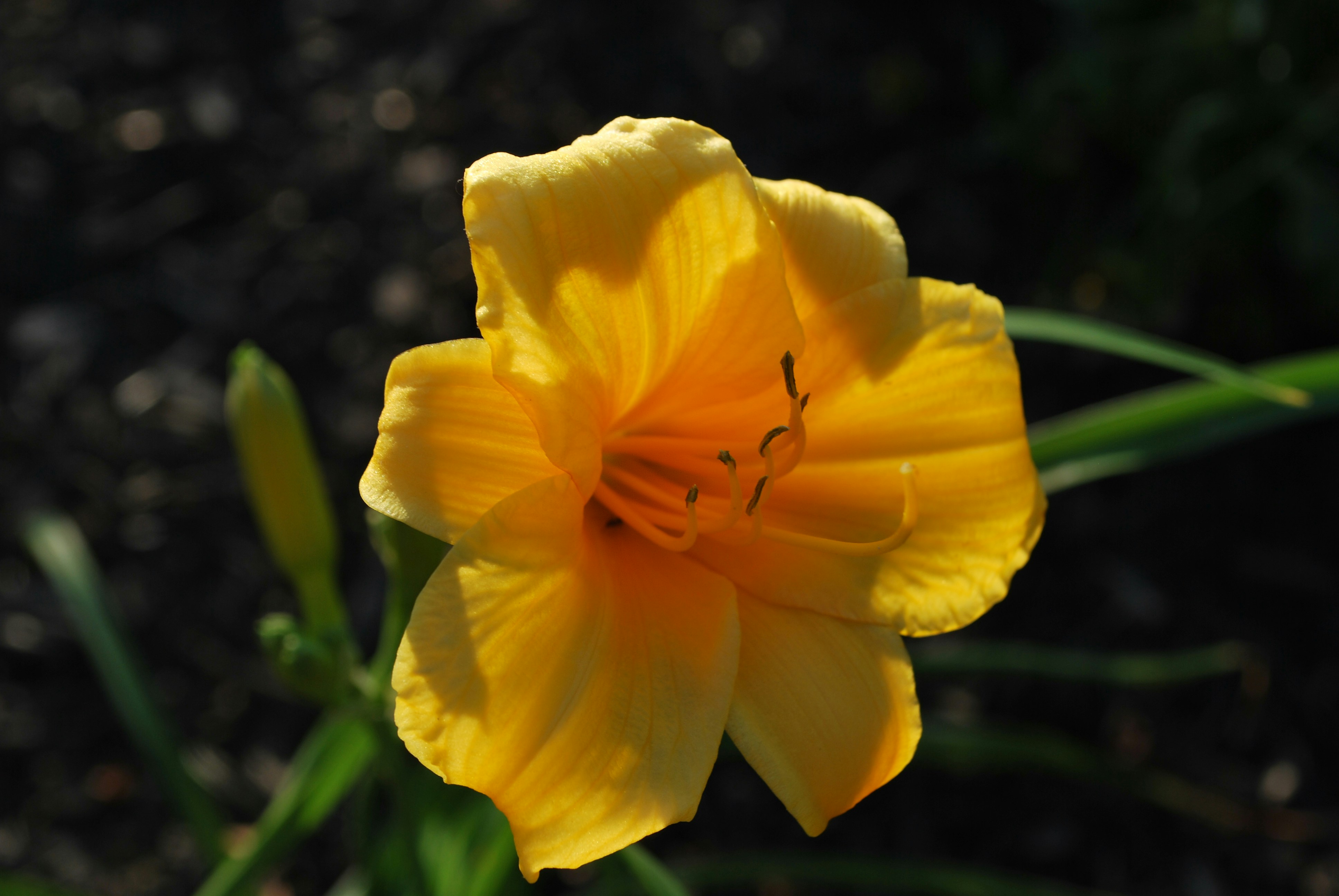 Photo by trailshutter