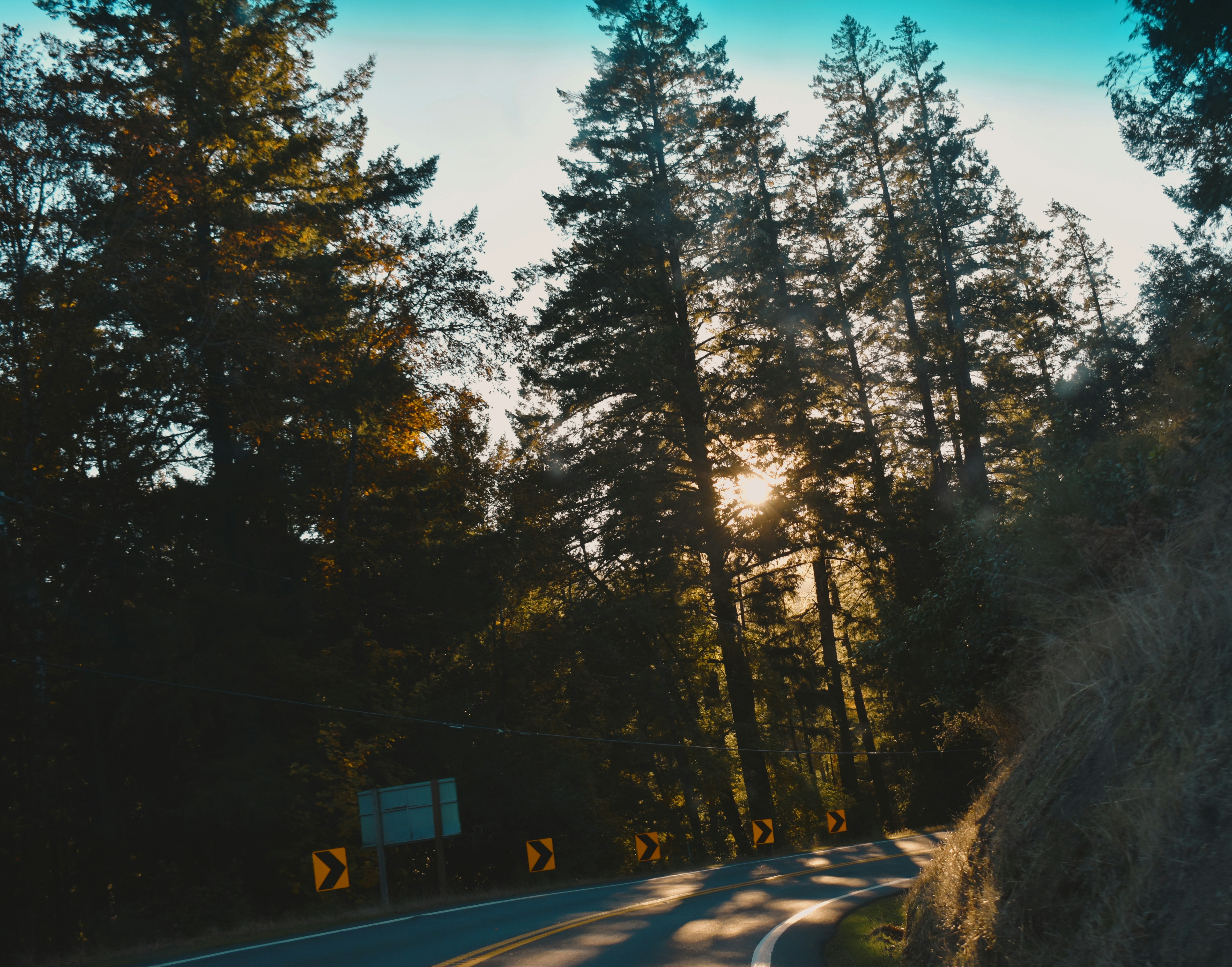 Photo by punkrockhippy_