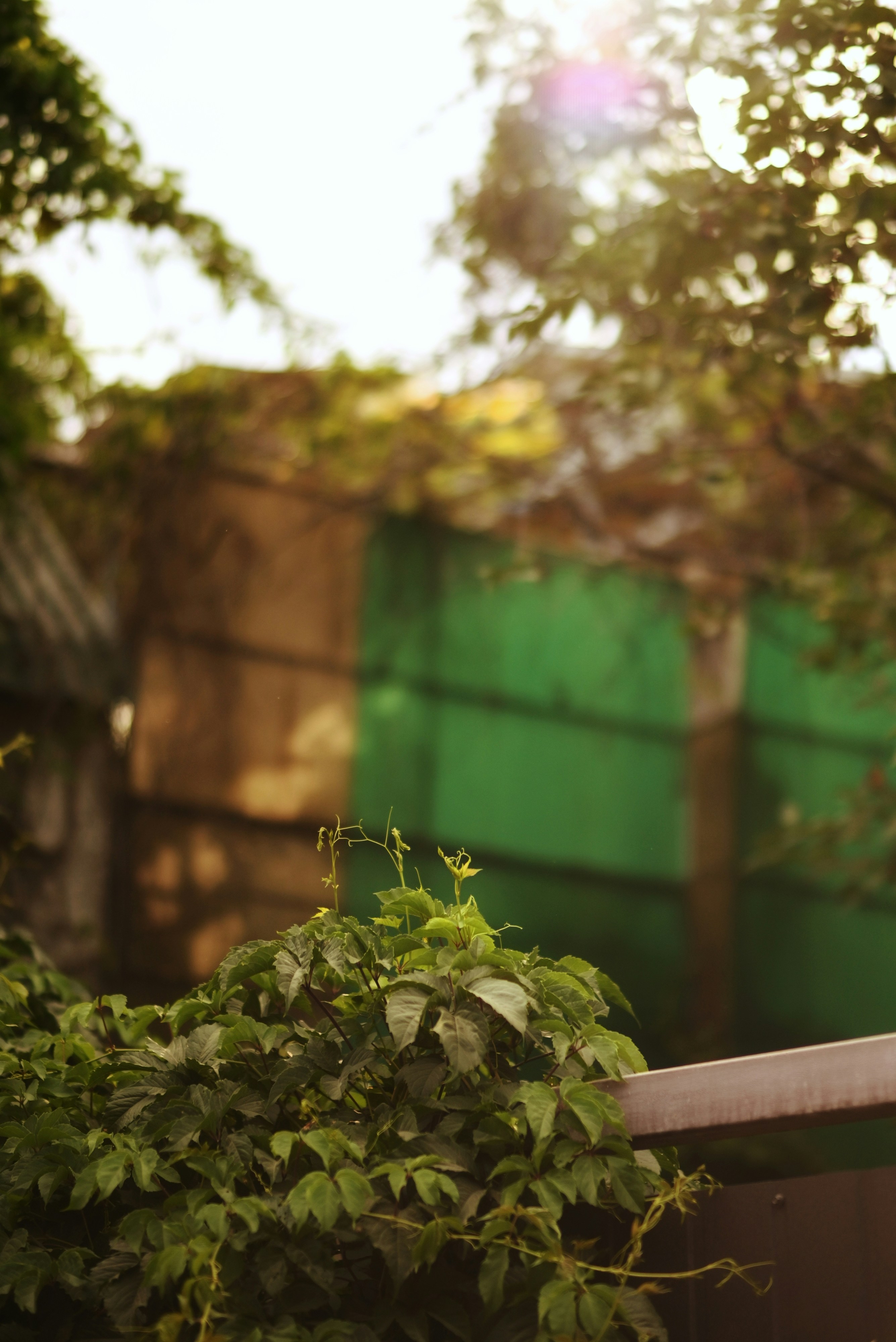 Photo by lvovandrewph