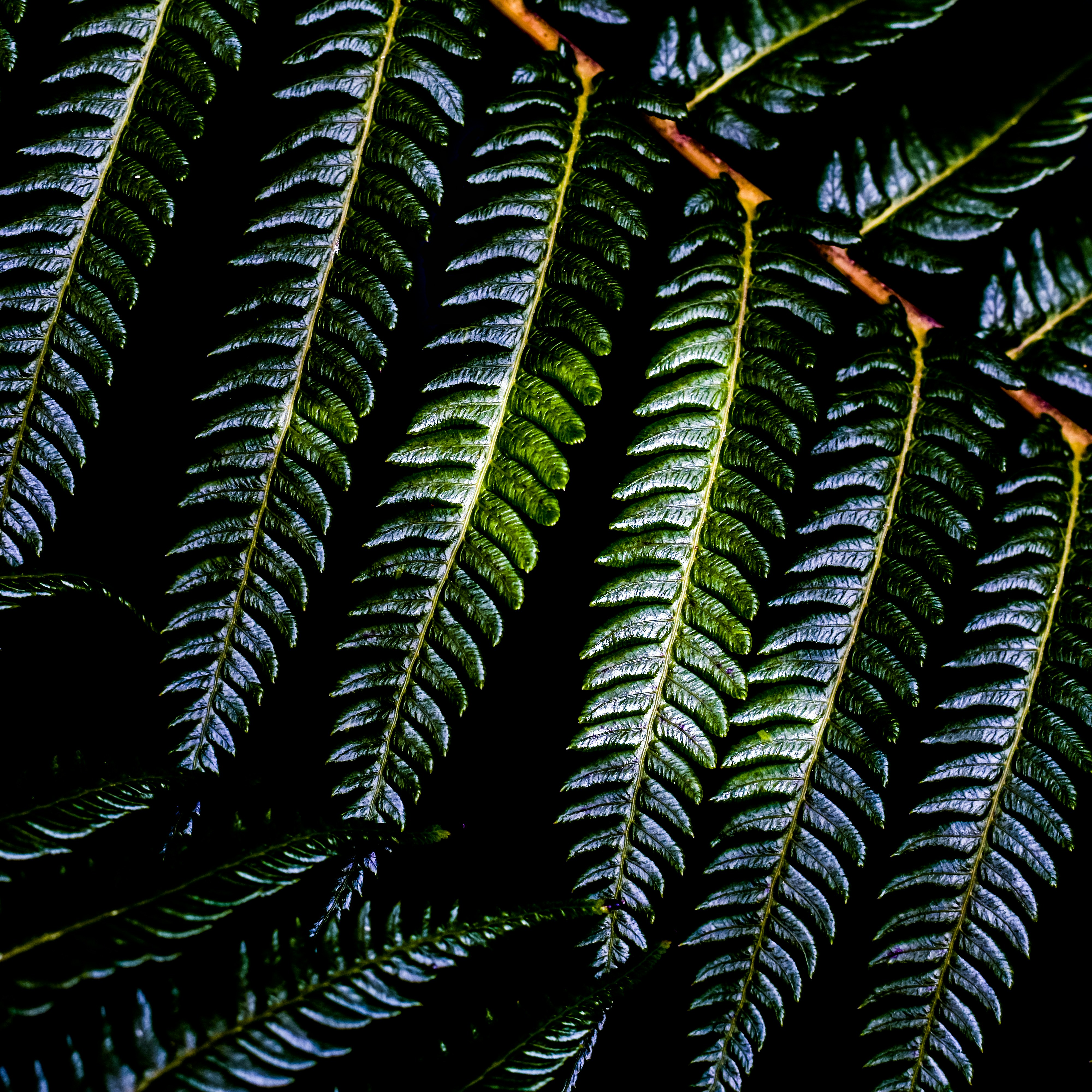 Photo by sschusterphotoart