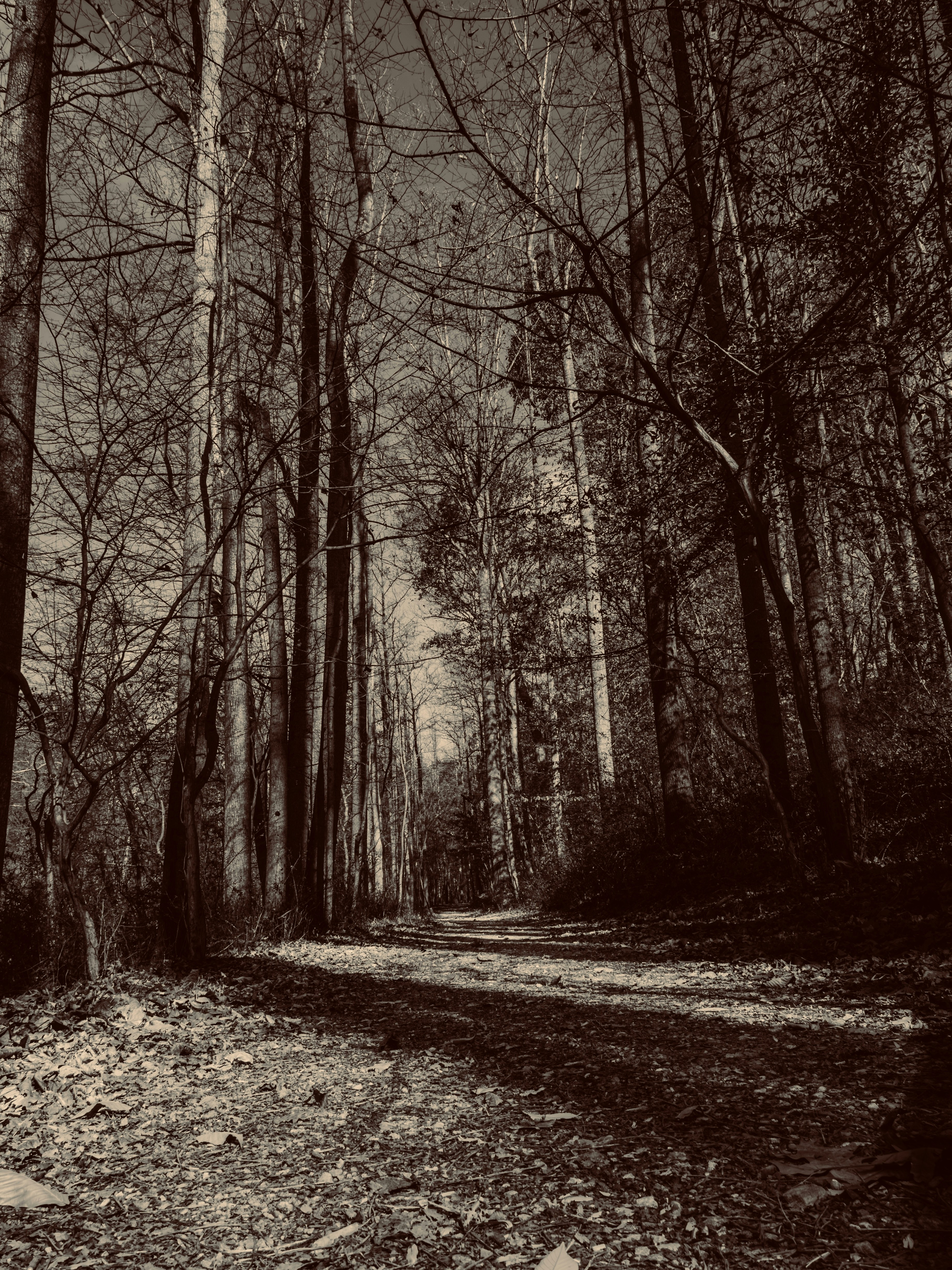 Photo by sschusterphotoart