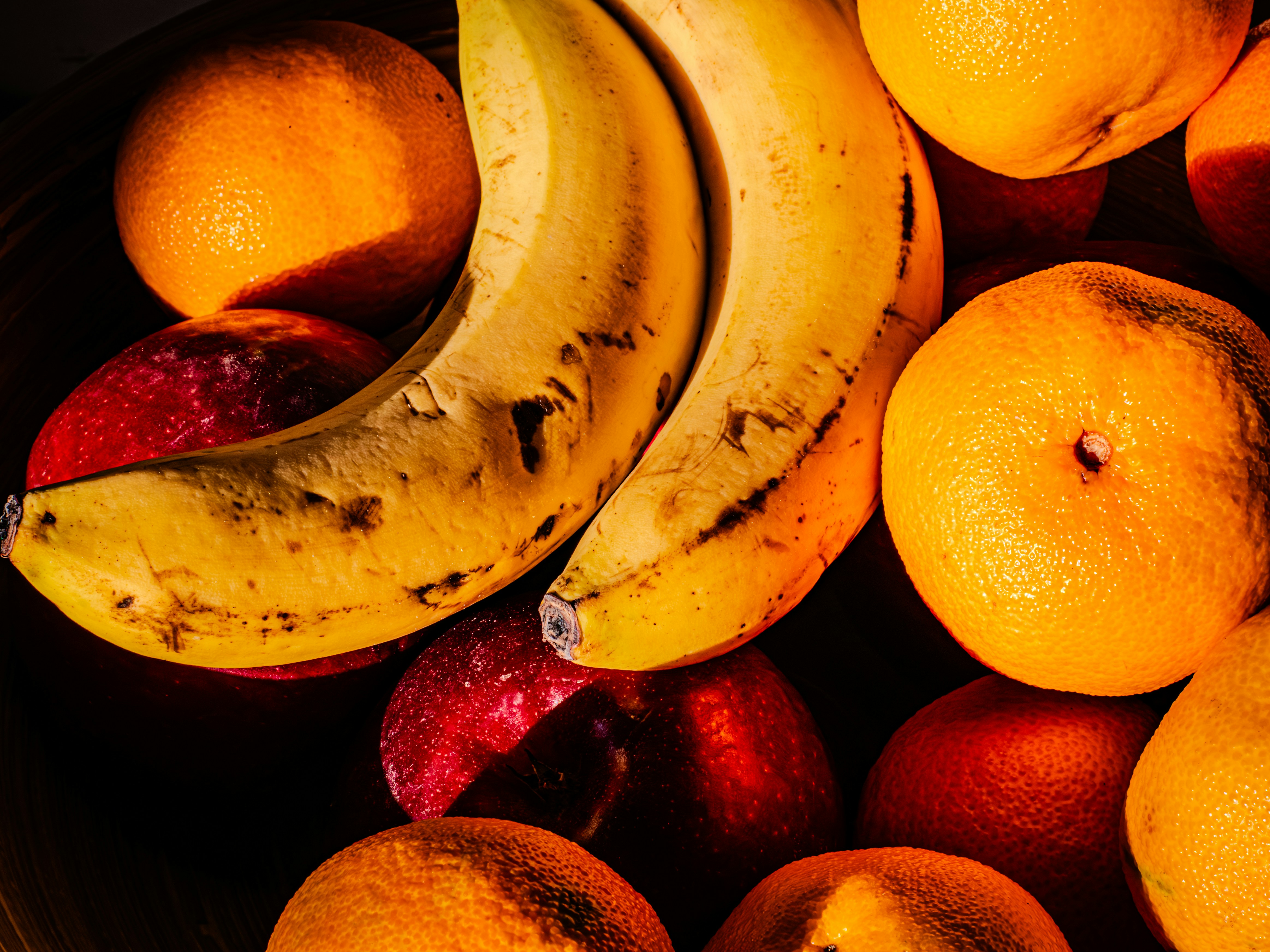 Photo by sschusterphotoart