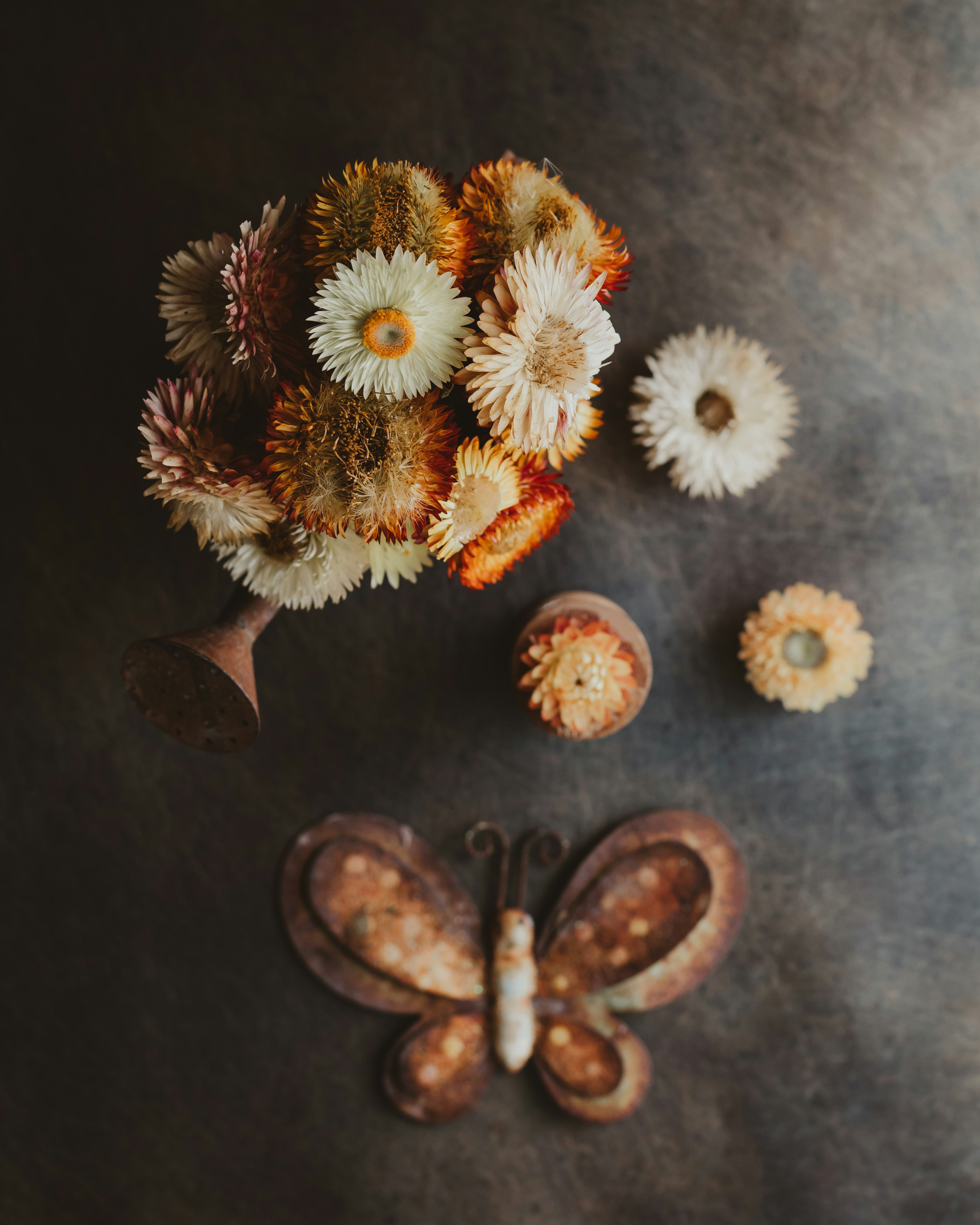 Dried flowers and butterfly decoration on dark background