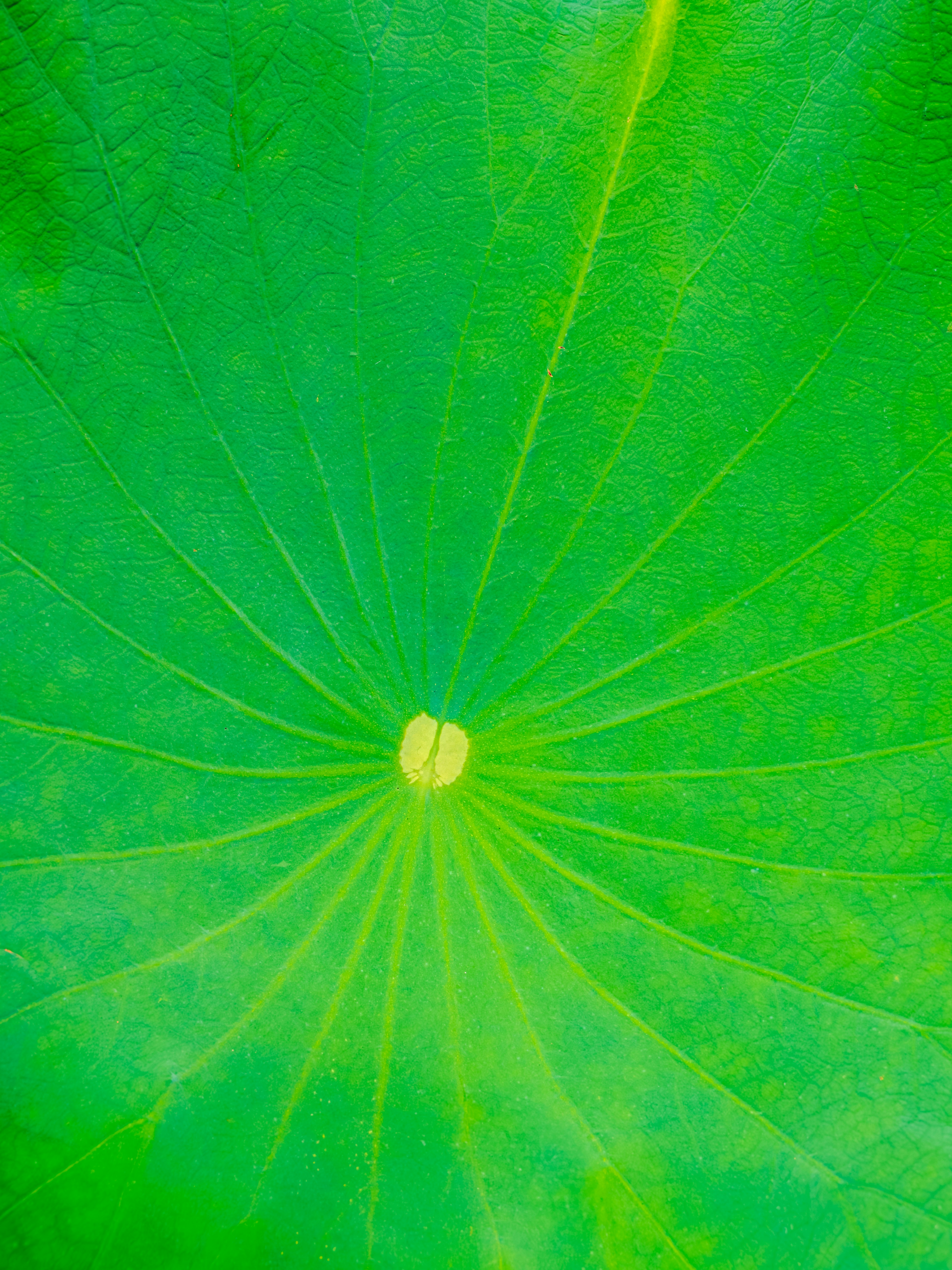 Photo by sschusterphotoart