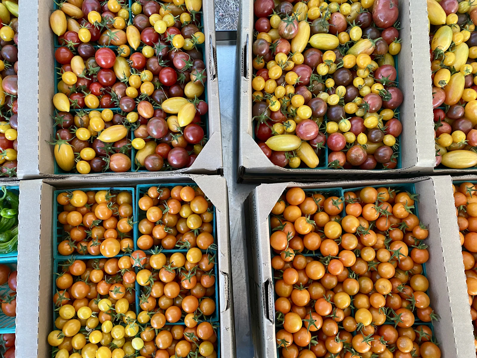 Where Are the Largest Farmers Markets in DFW?