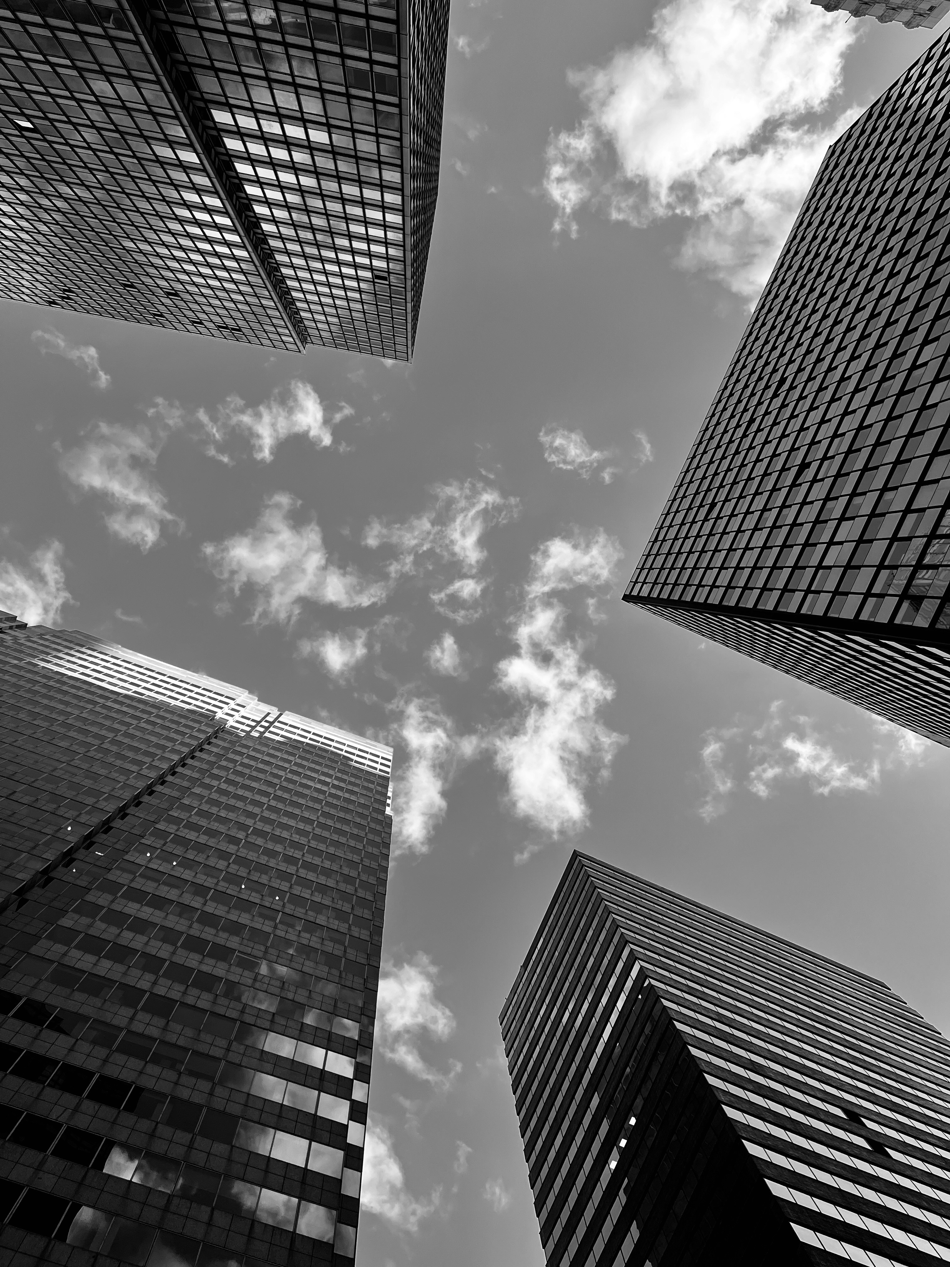 Photo by sschusterphotoart