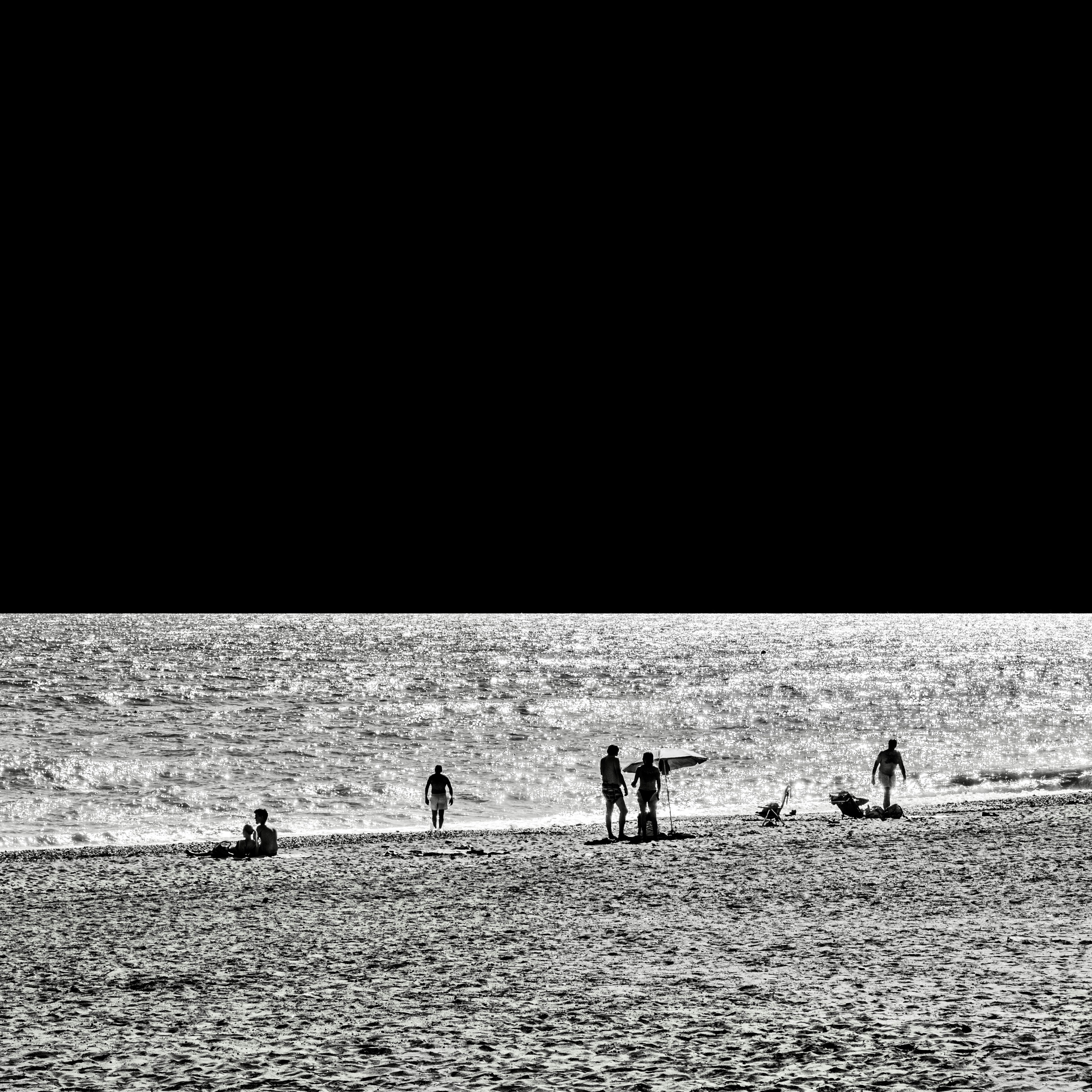 Photo by sschusterphotoart