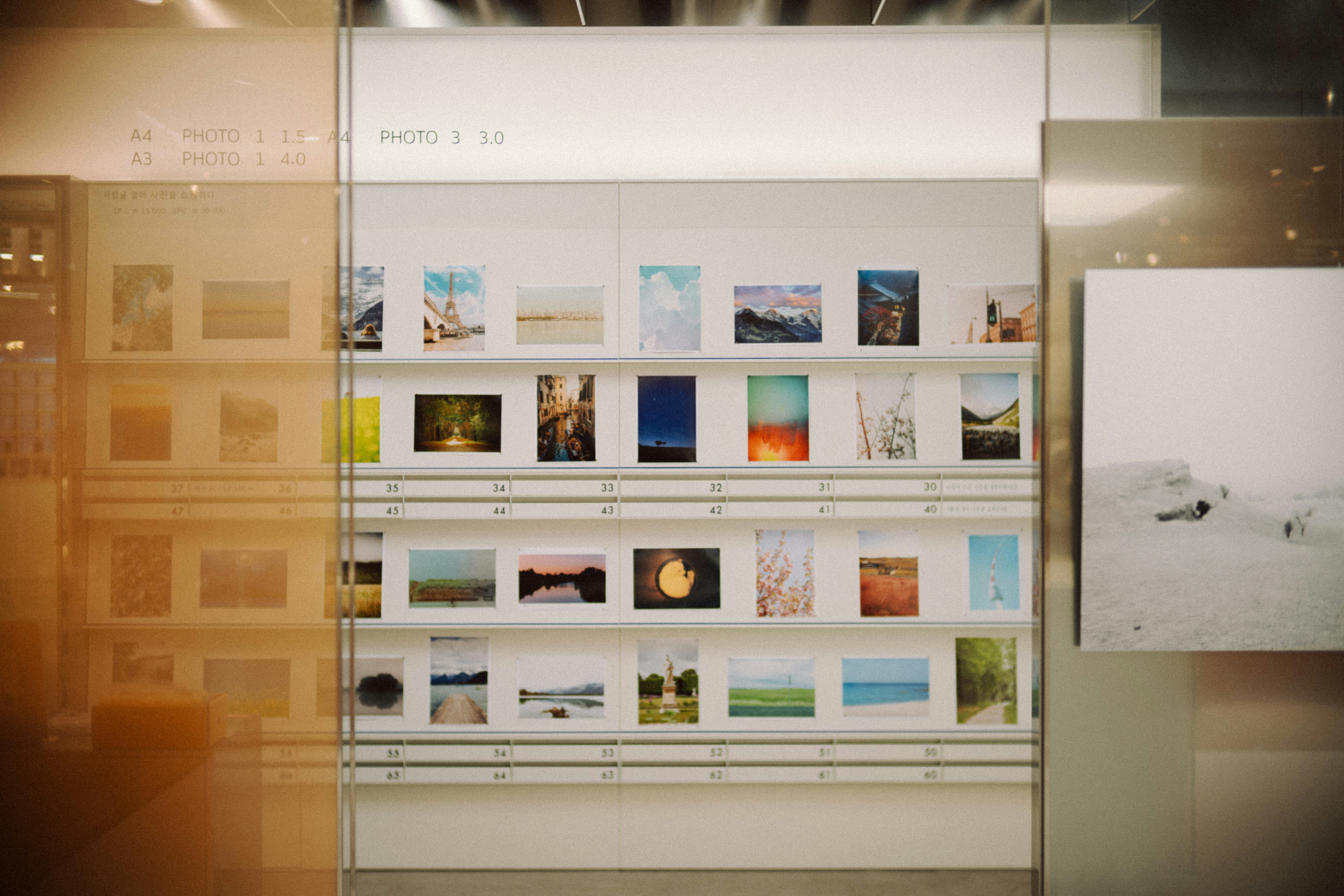 Gallery wall displaying landscape artworks