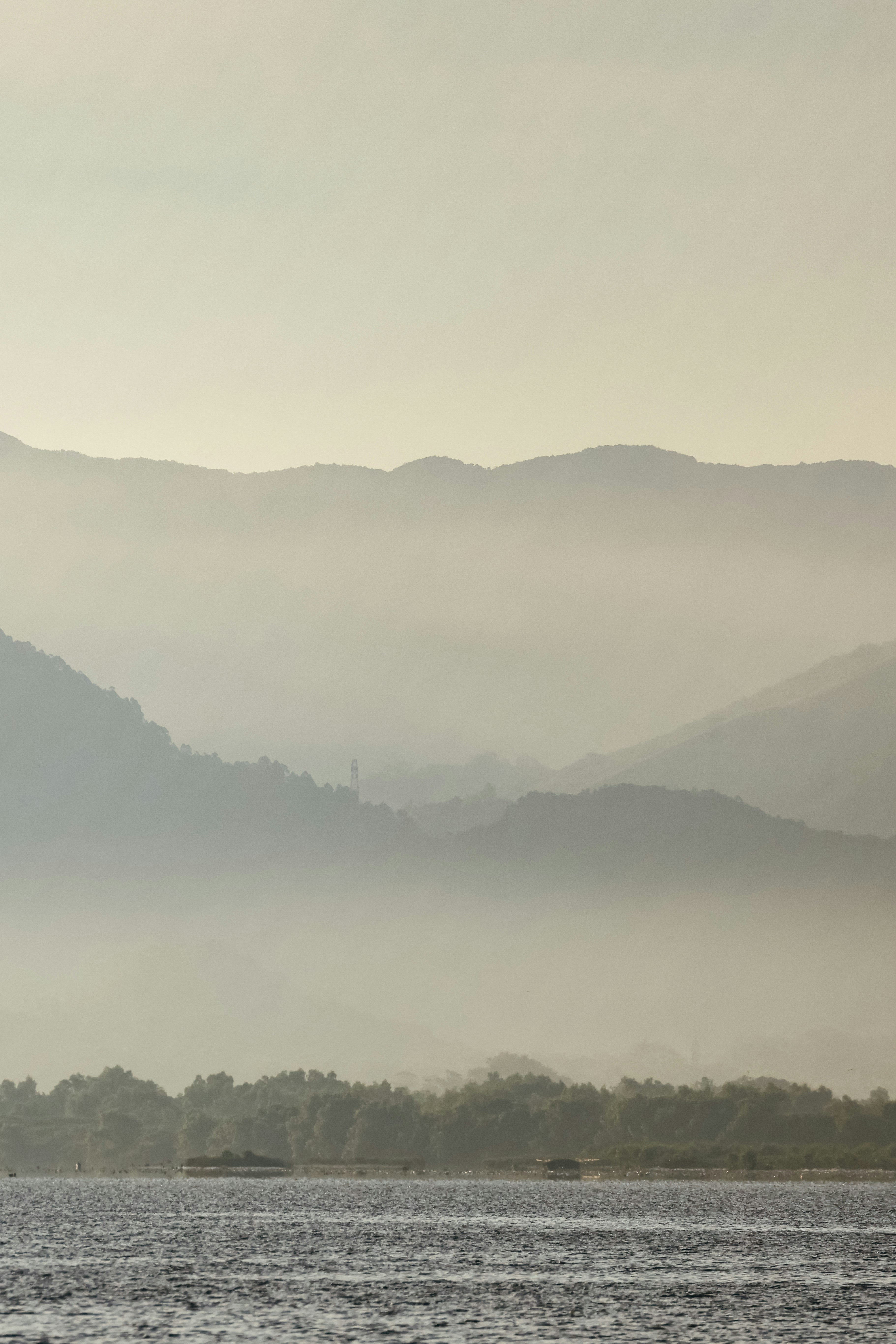 Photo by dickenslin76