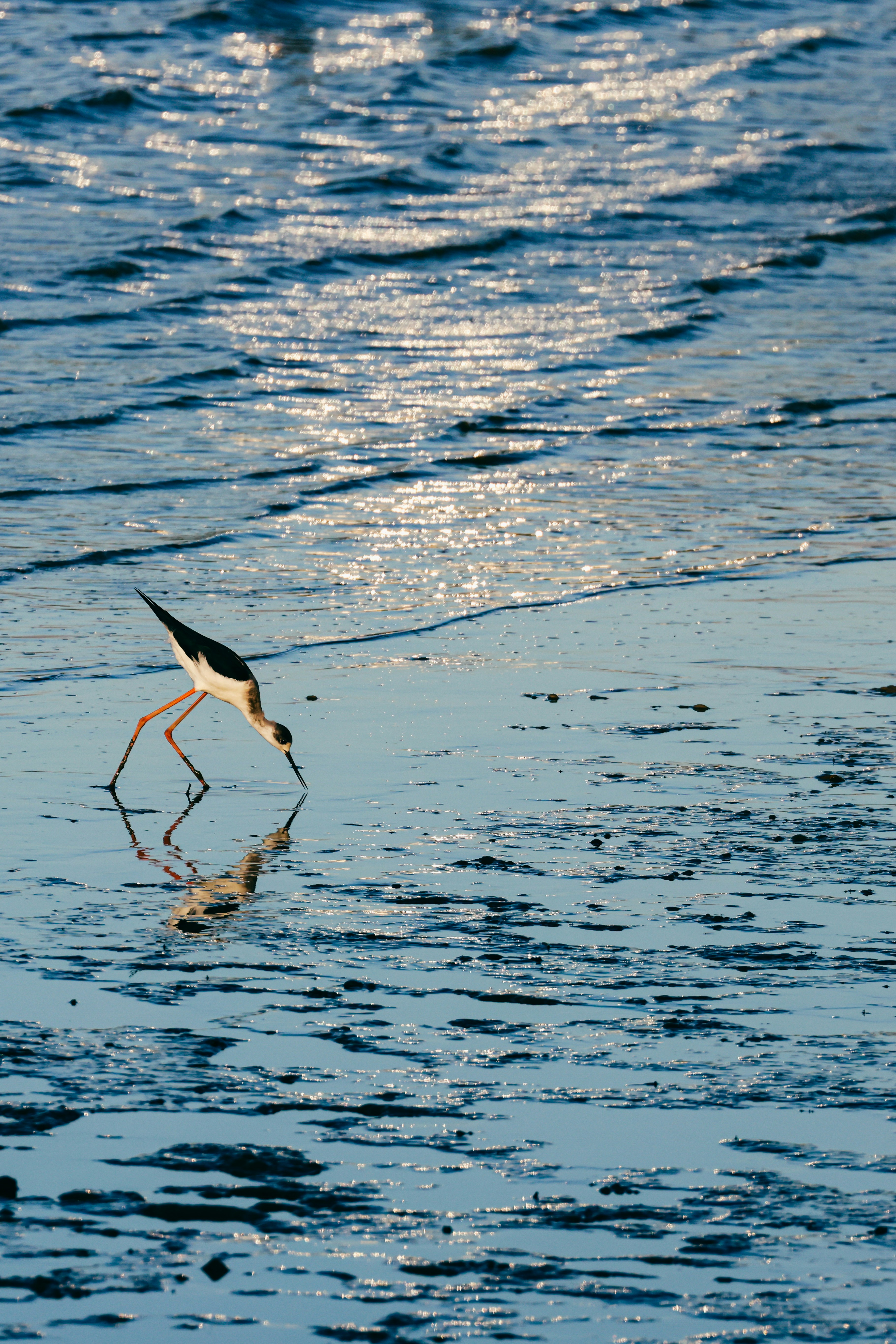 Photo by dickenslin76