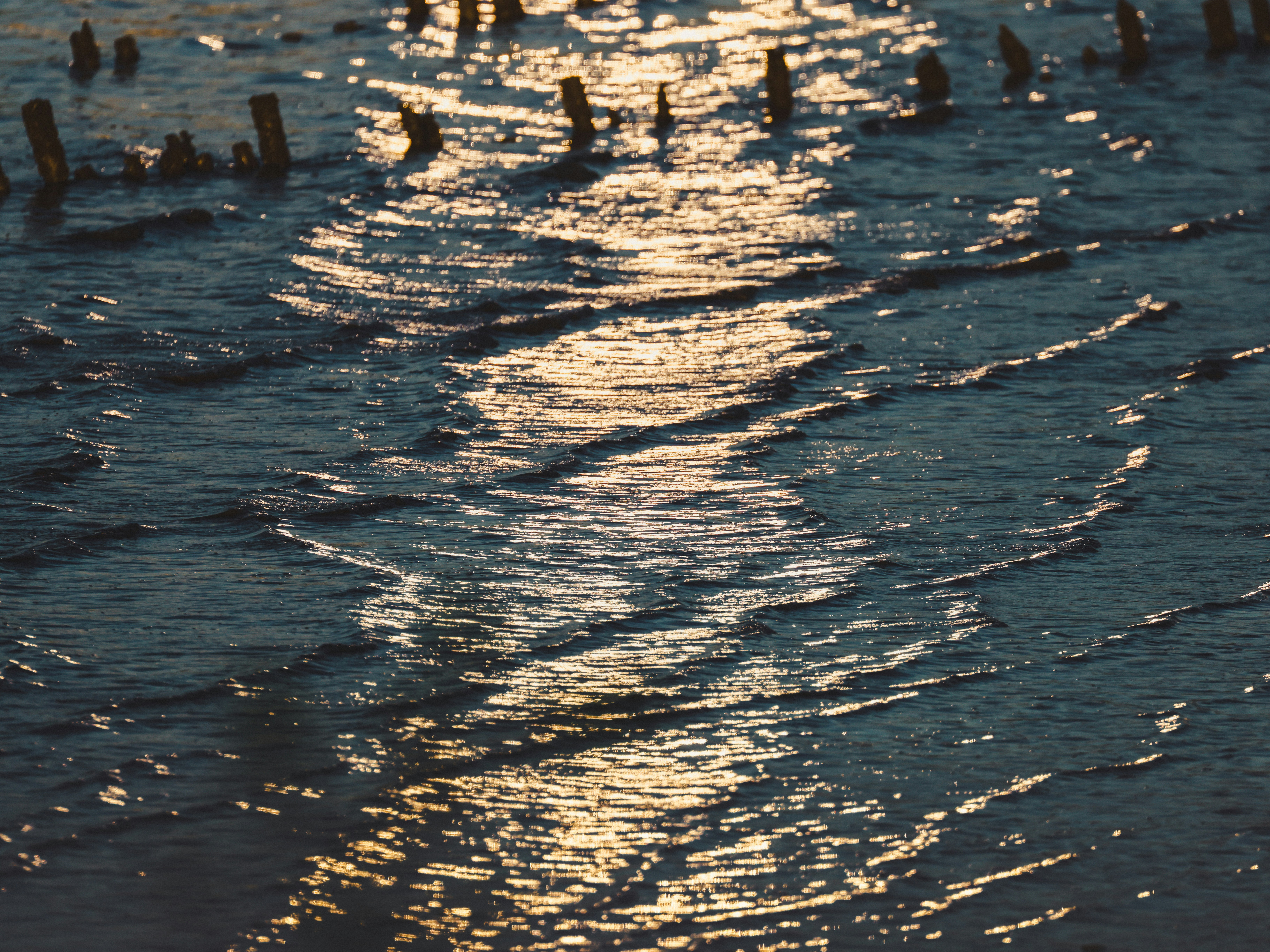 Photo by dickenslin76