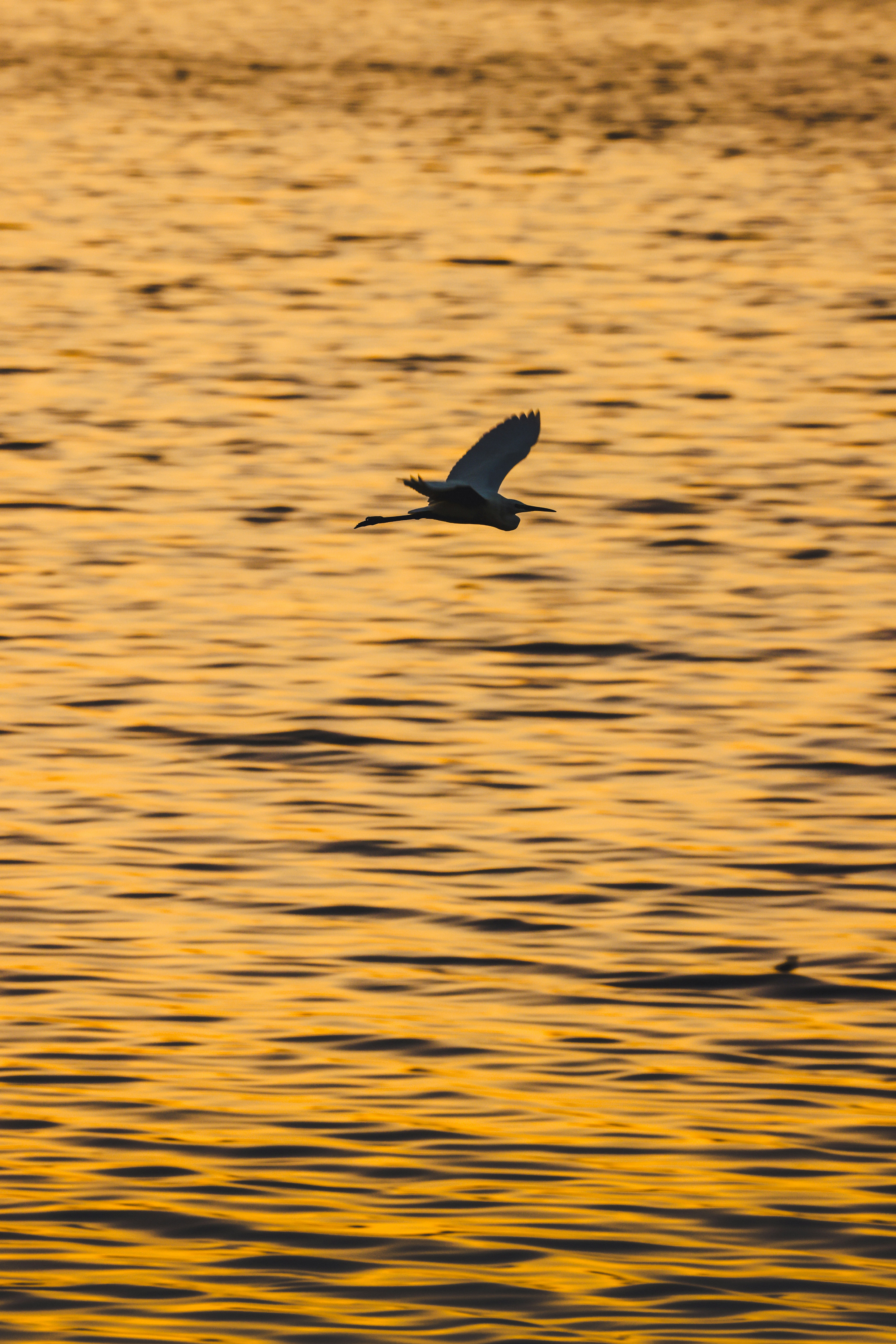 Photo by dickenslin76