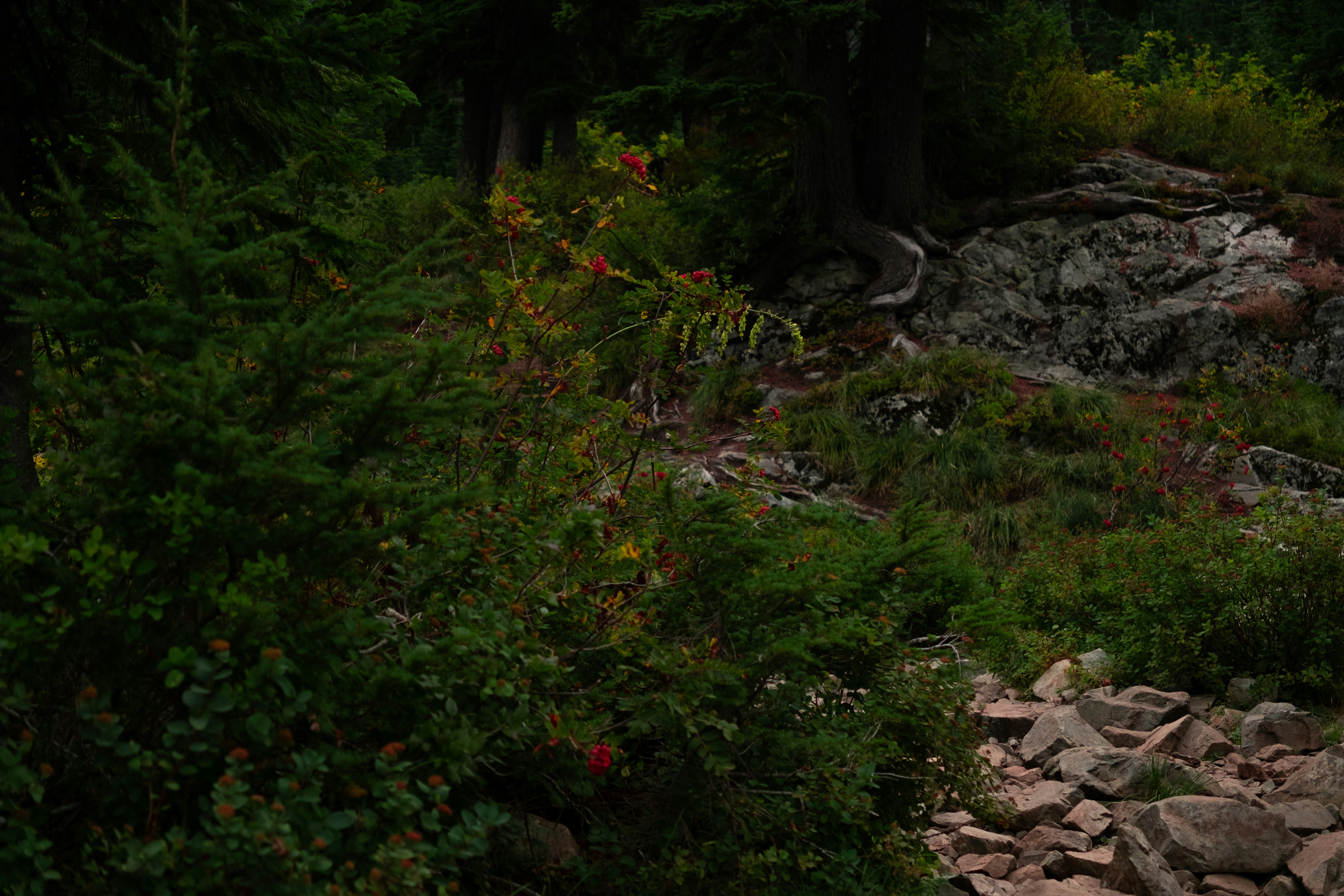 Photo by samanthacasm