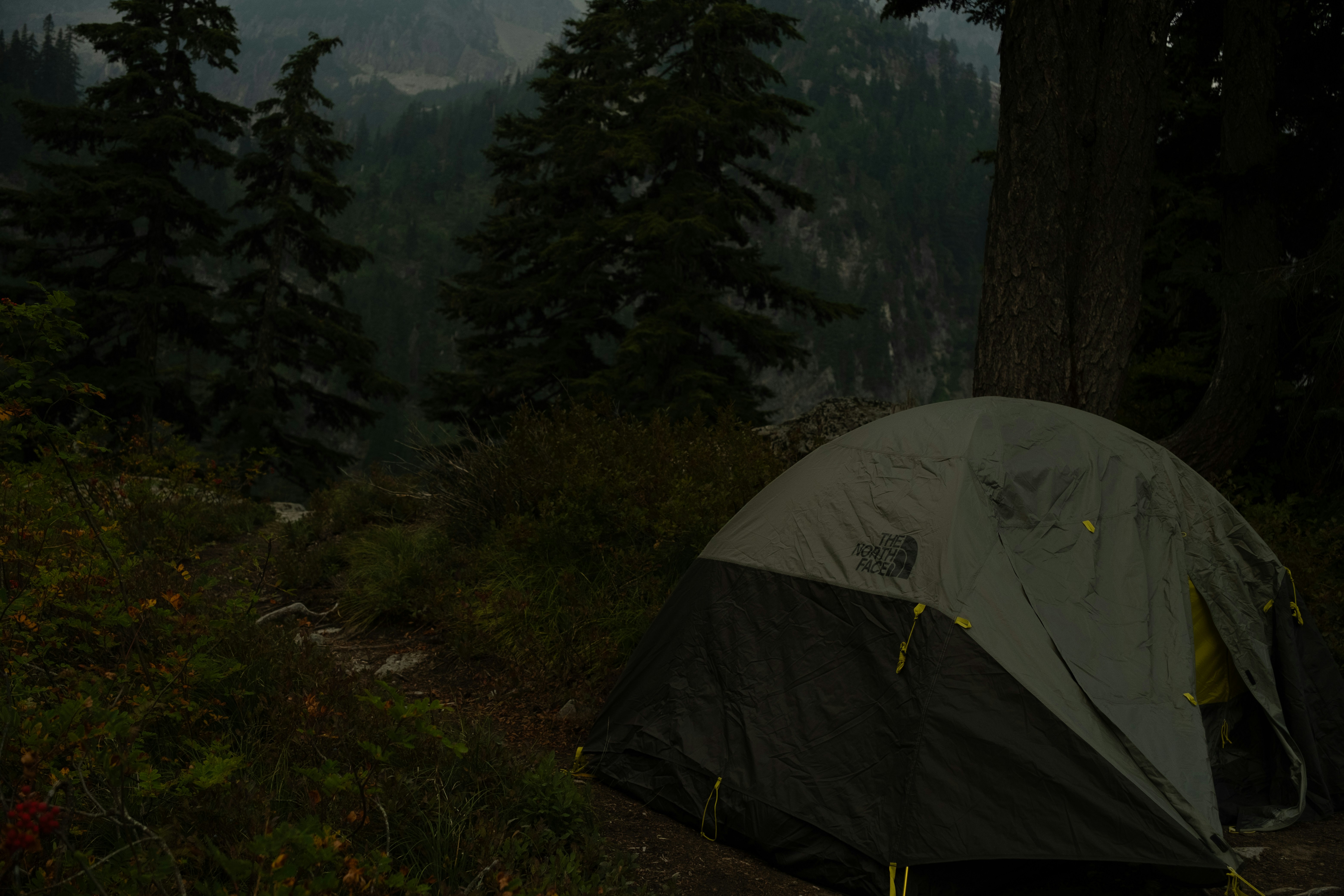 Photo by samanthacasm