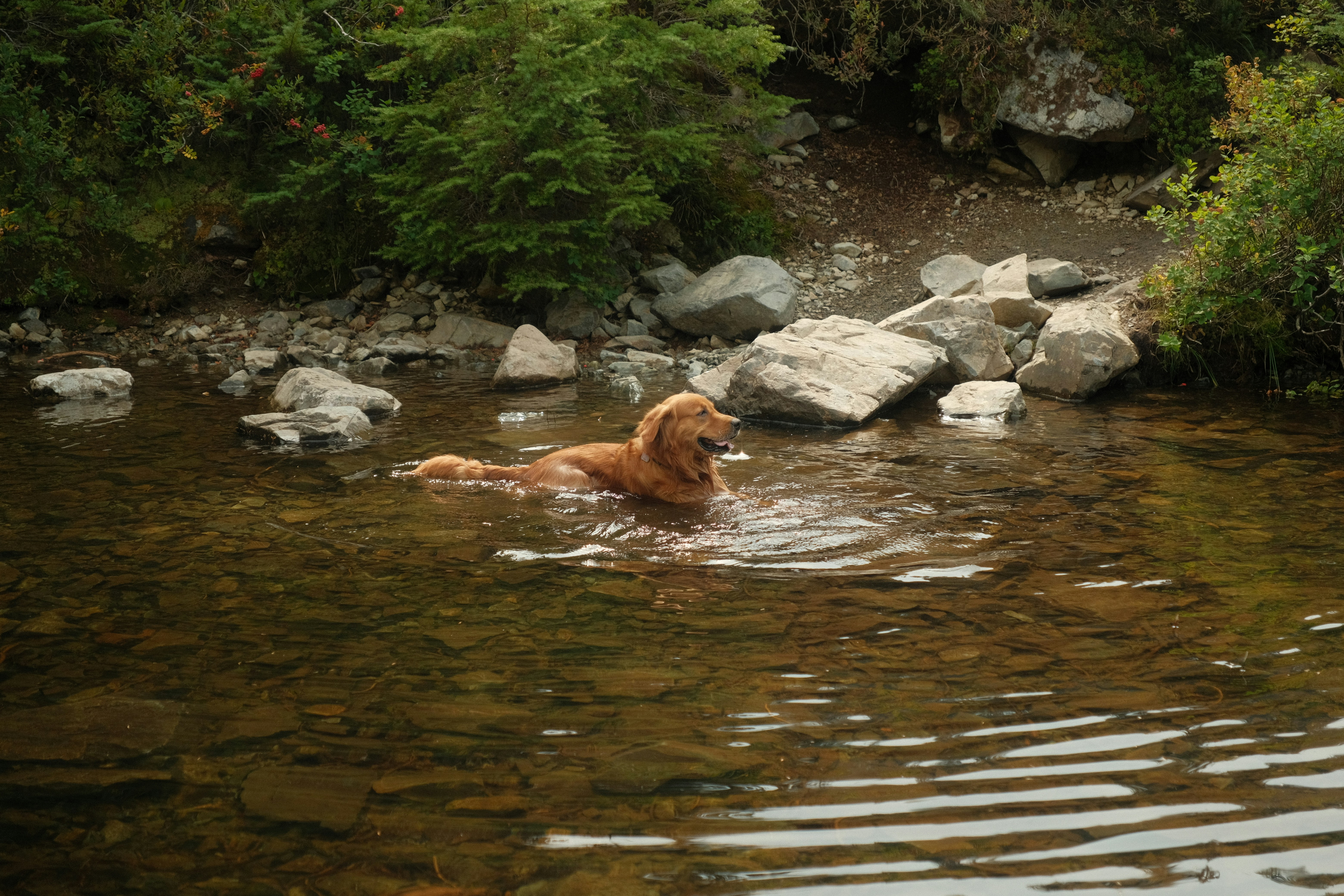 Photo by samanthacasm