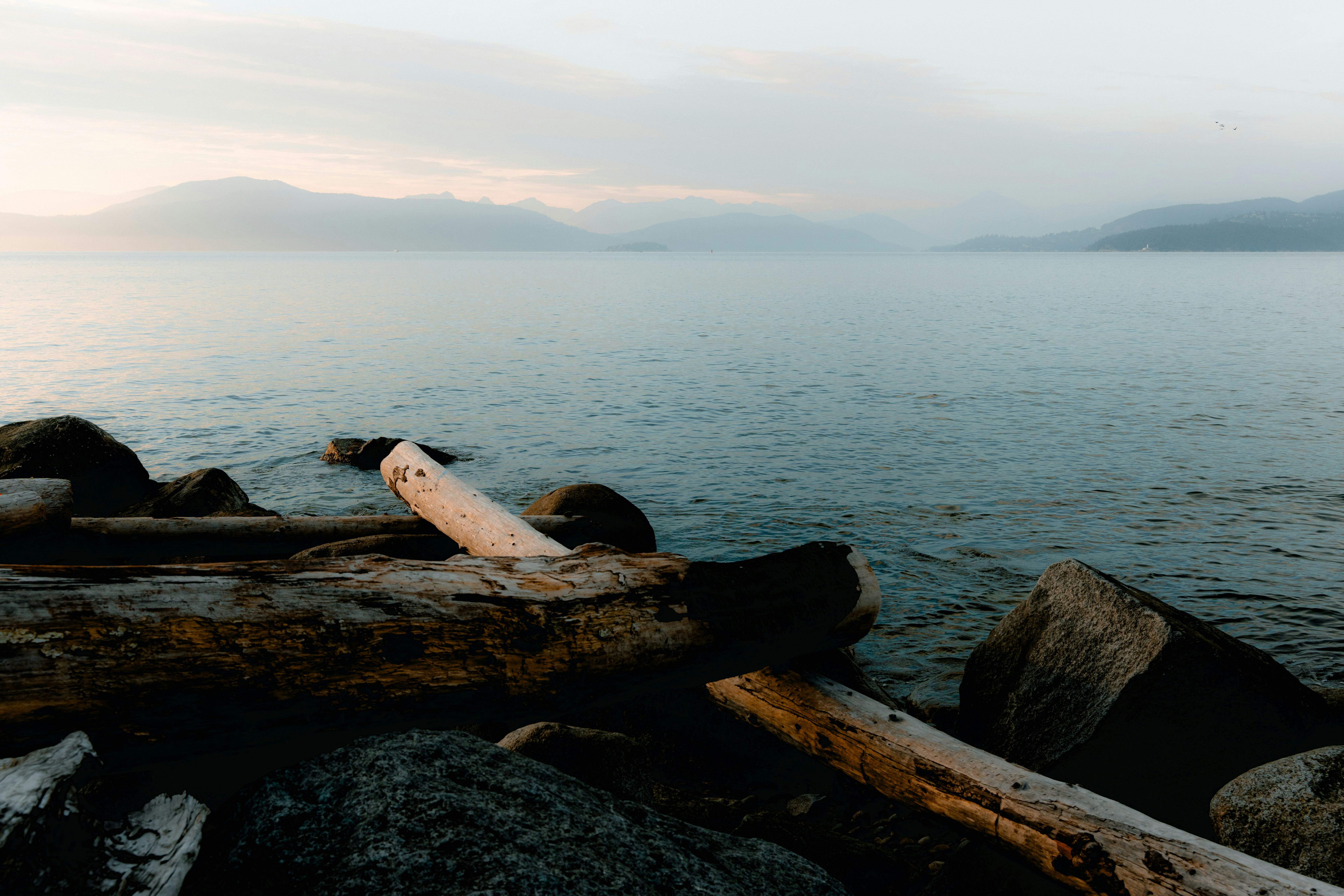 Photo by alxstaubin