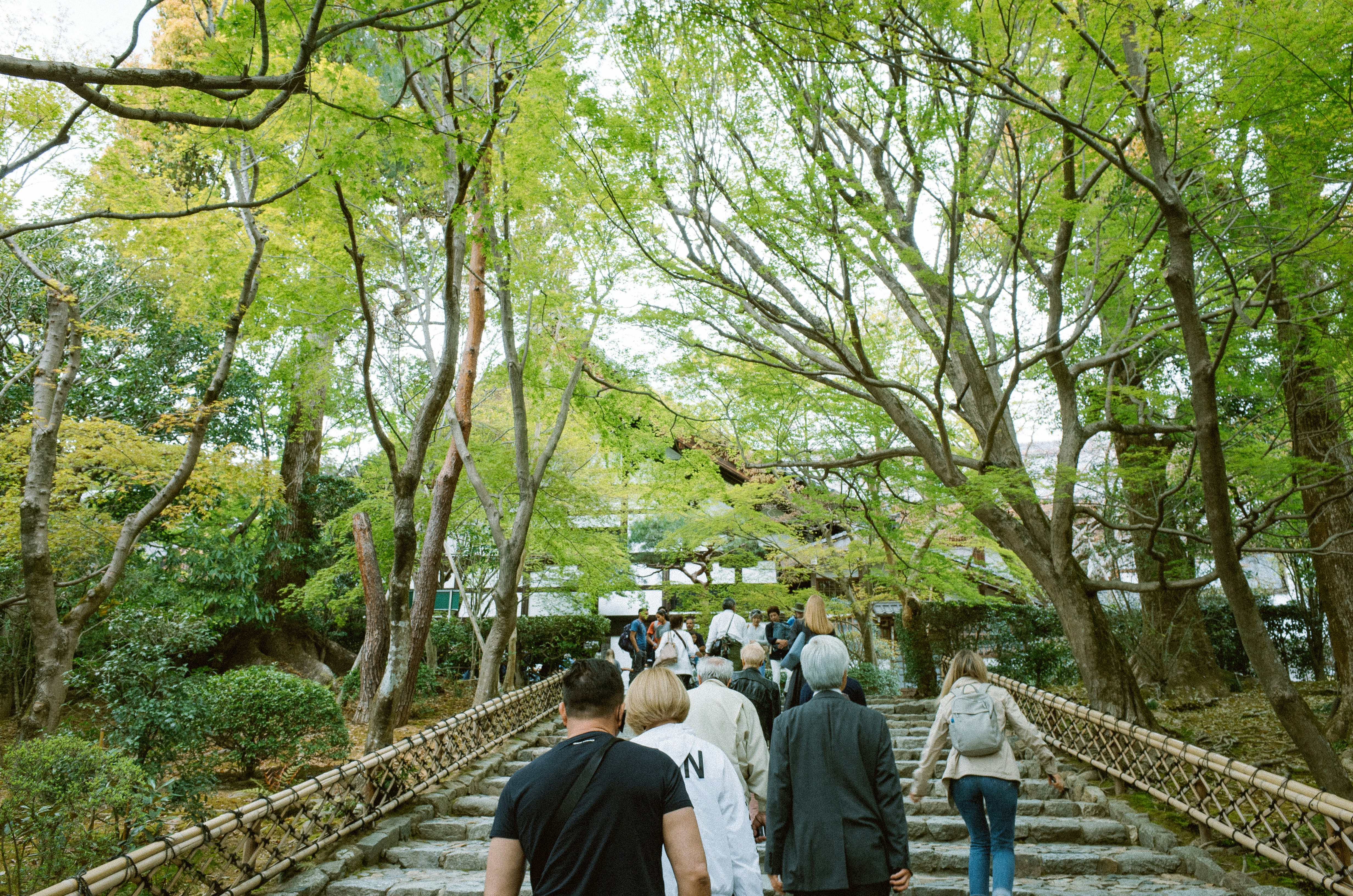 Photo by dokae