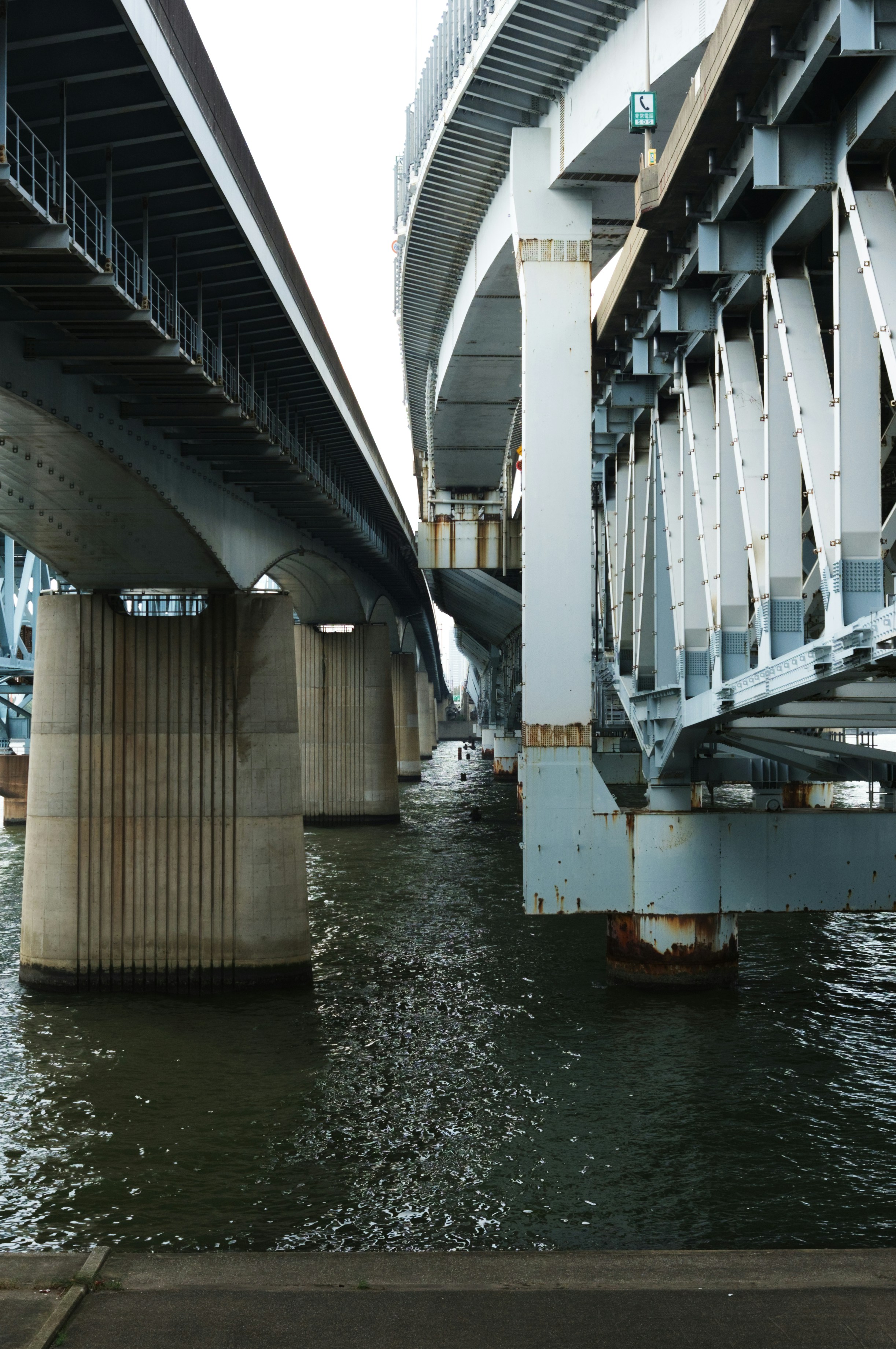 Photo by oliverhu711