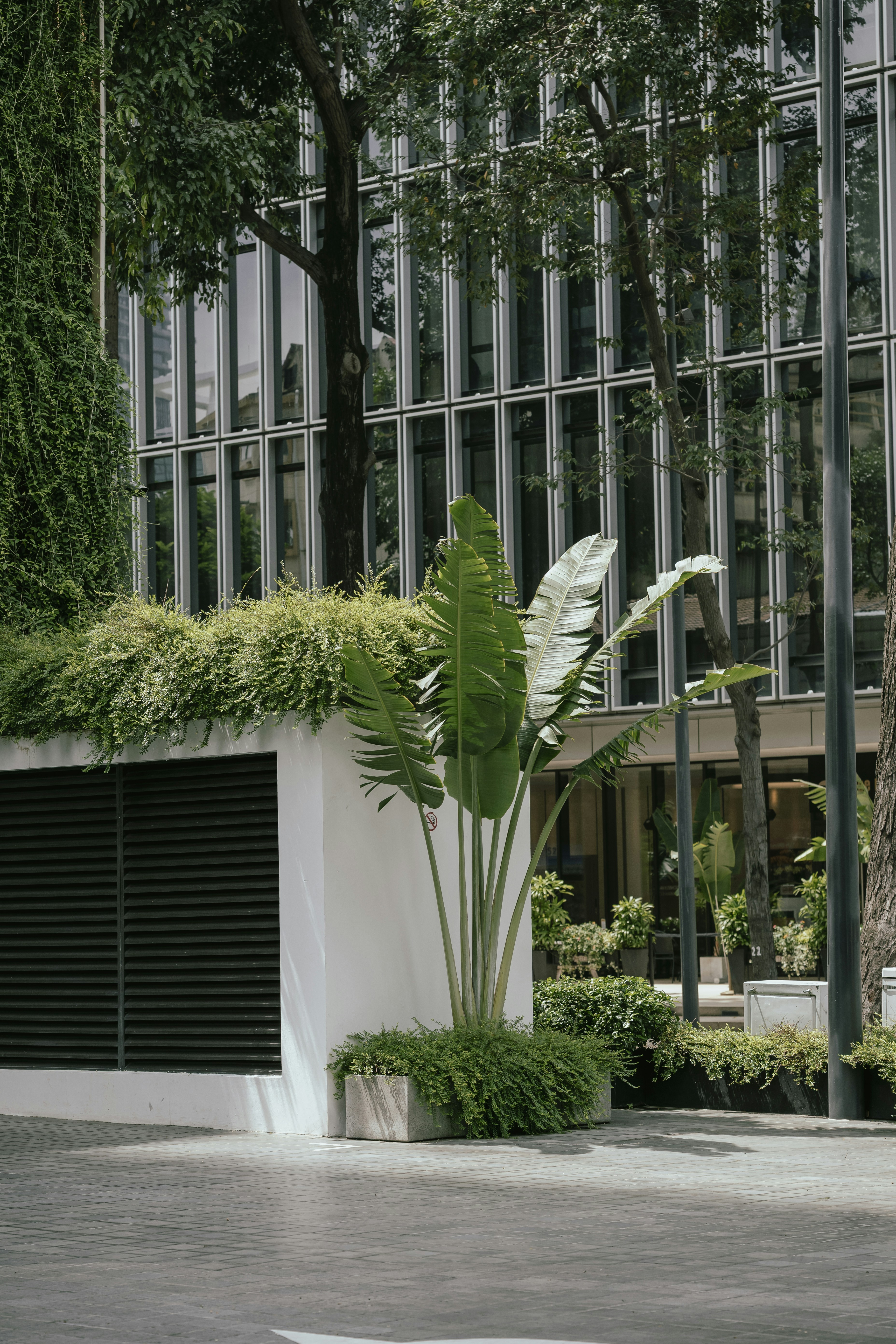 Outdoor garden design with a variety of rectangular planters