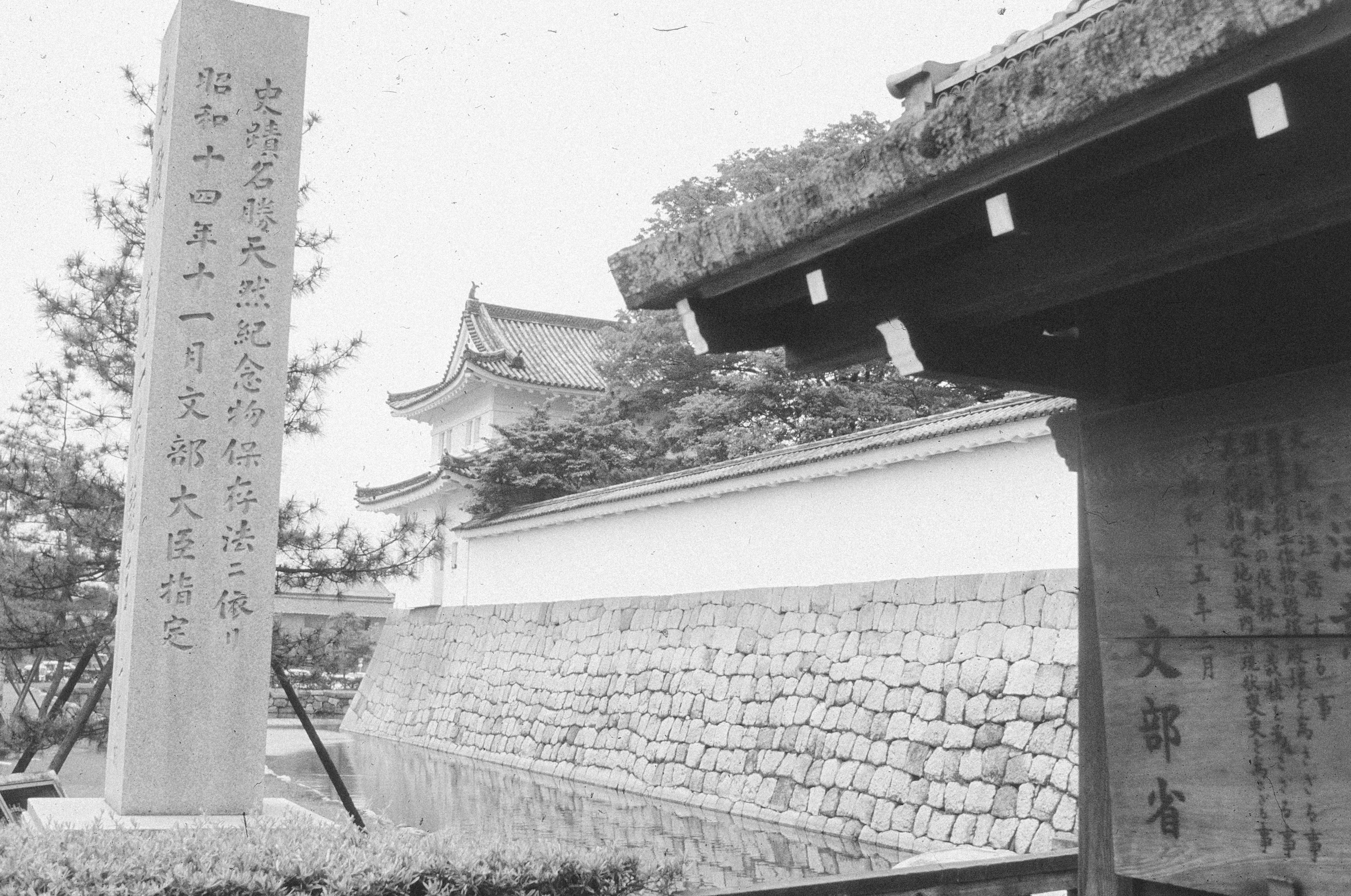 Photo by anniespratt