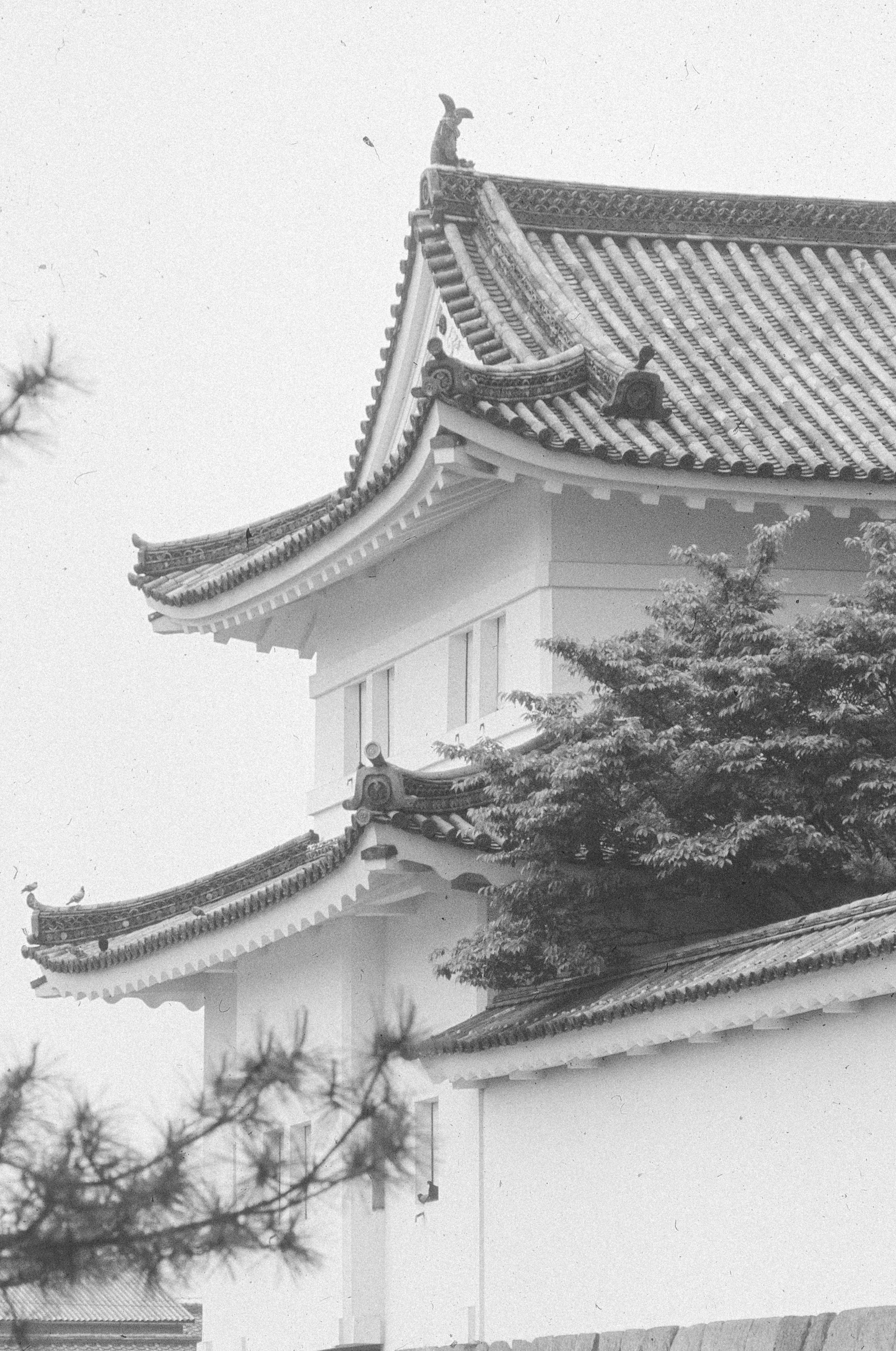 Photo by anniespratt