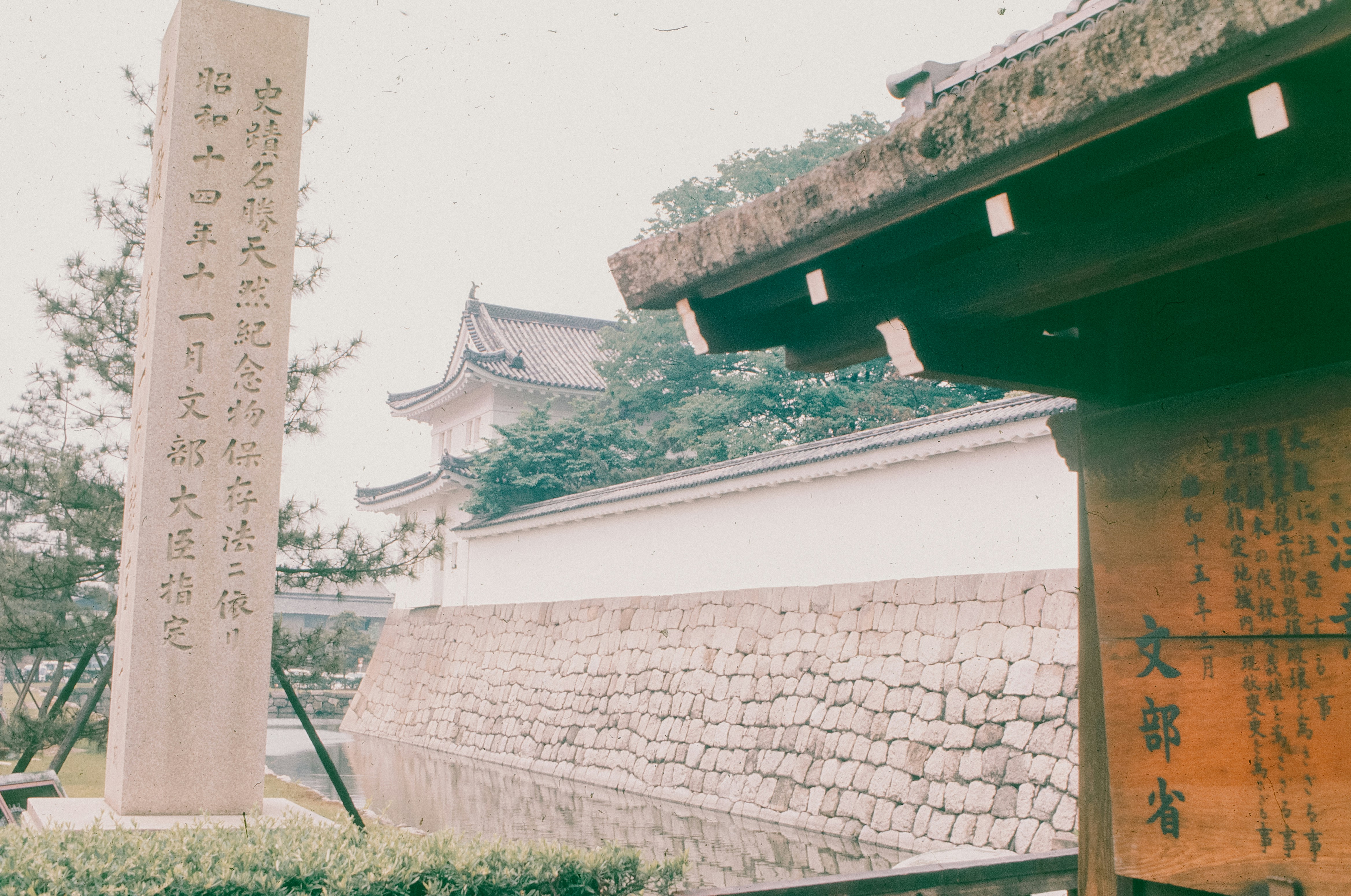 Photo by anniespratt