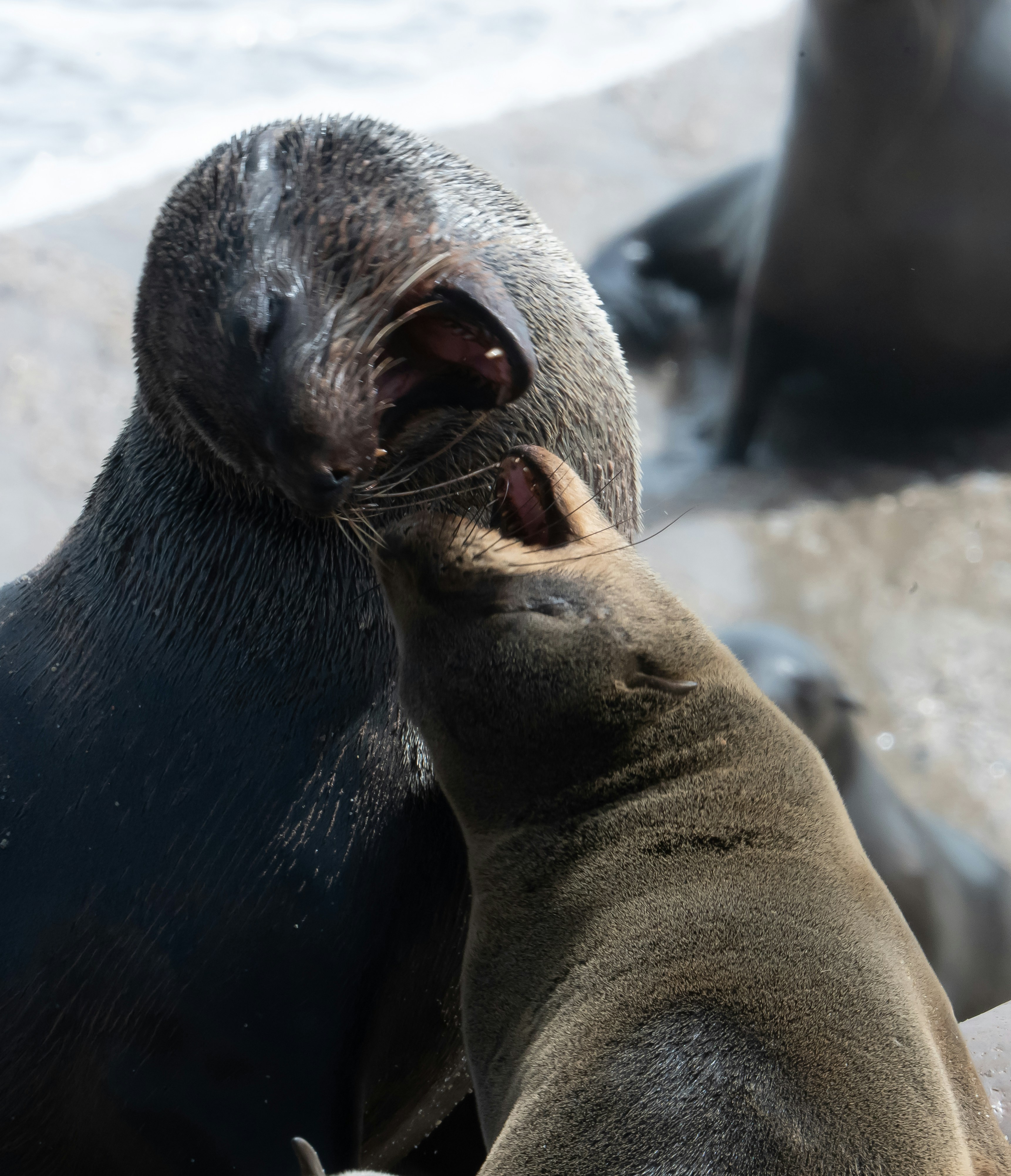 Photo by gaetano57123