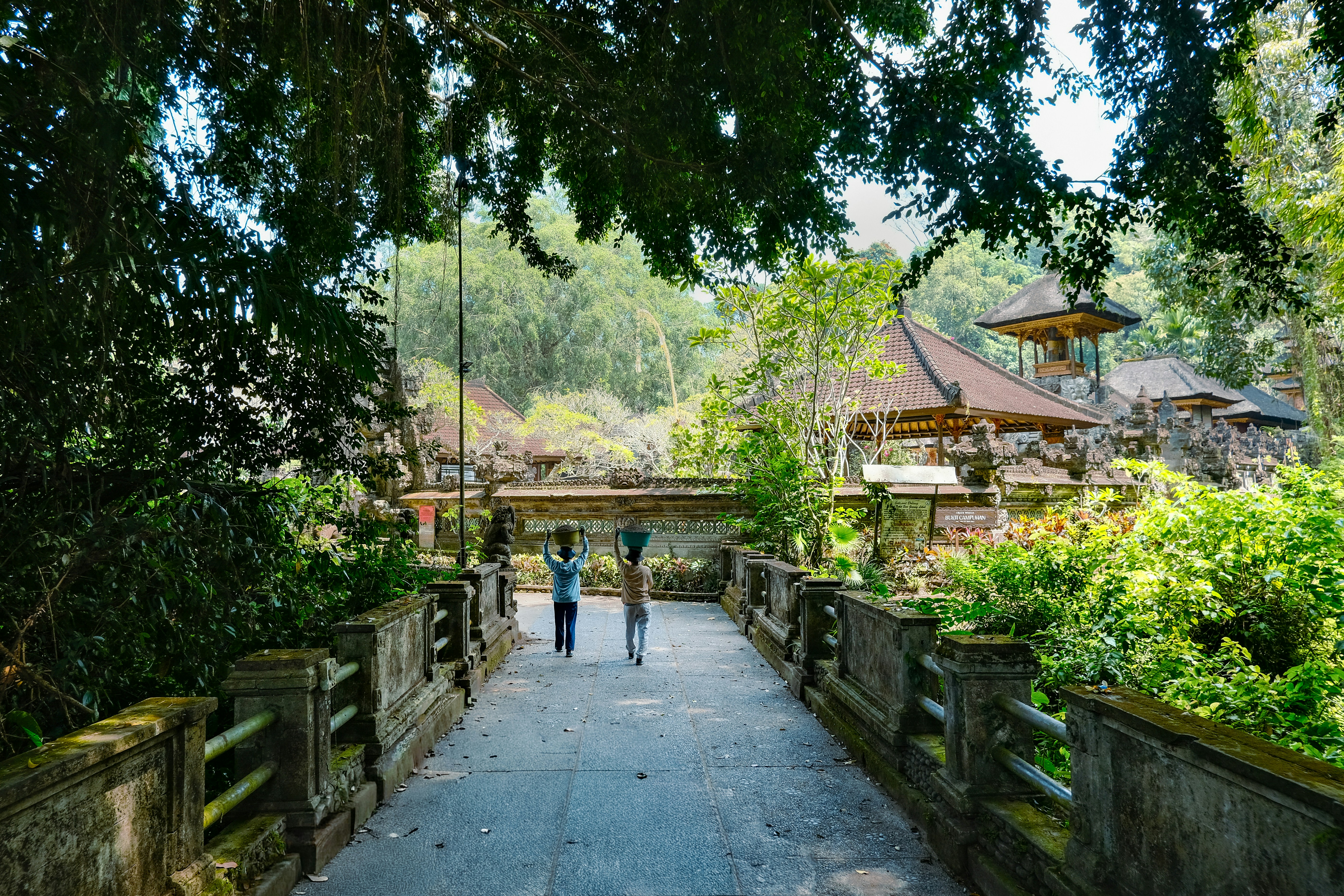 Photo by madelinelee