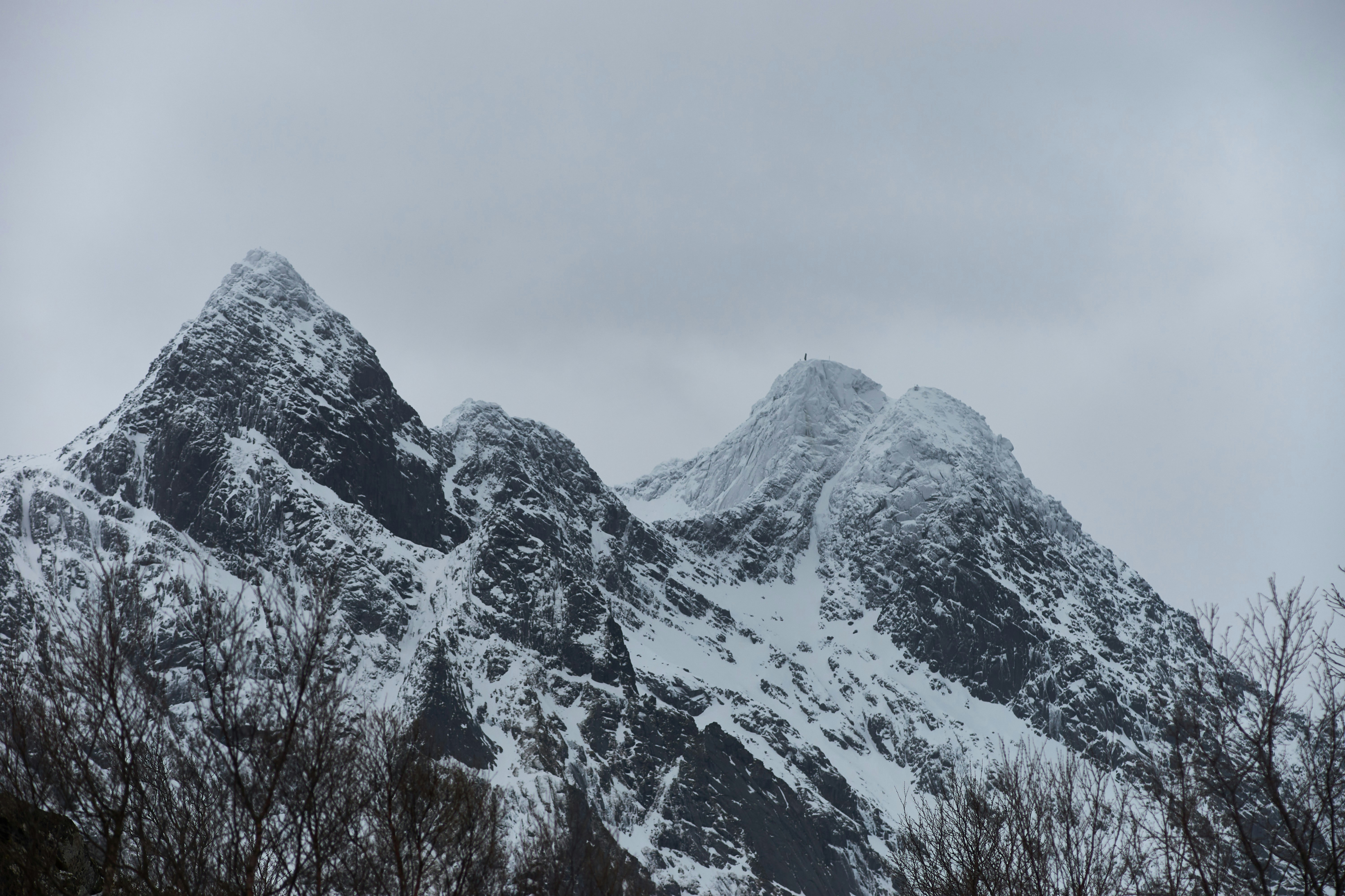 Photo by wolfgang_hasselmann