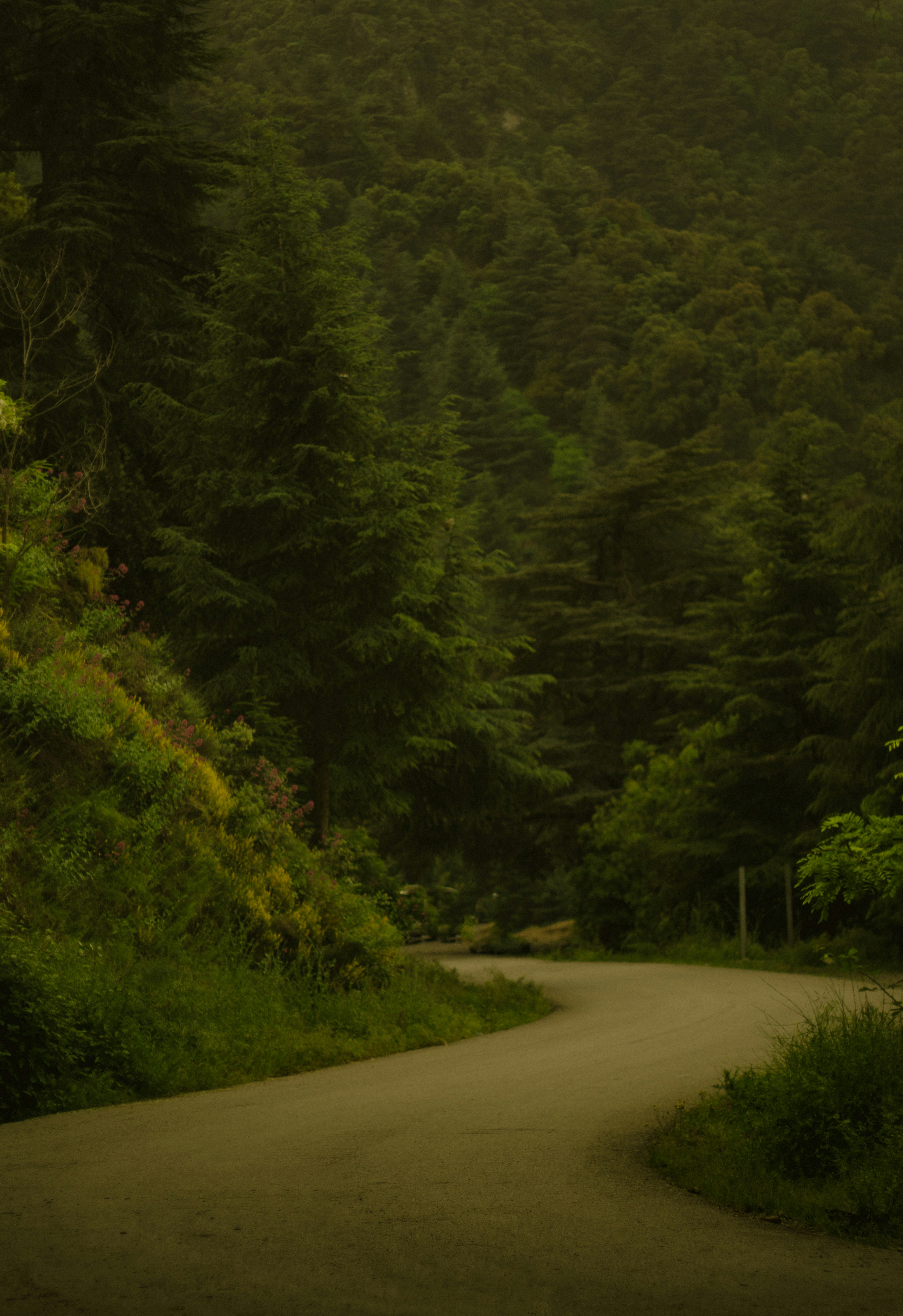 Photo by fethibenattallah