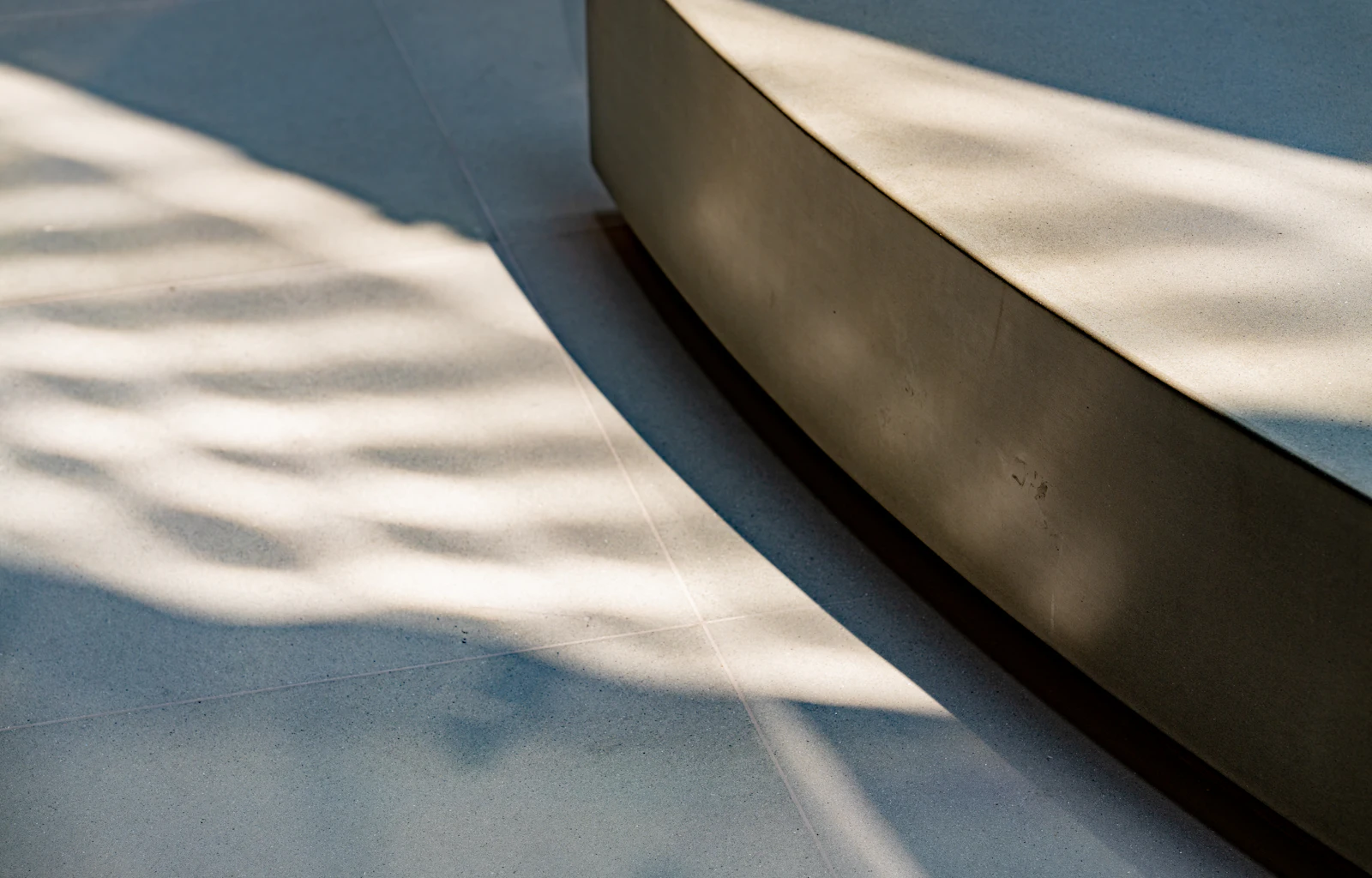 Soft shadows drawn across a pale curved surface