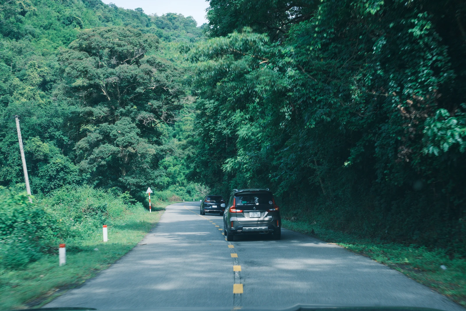 Route bordée de végétation tropicale en Guadeloupe, voitures circulant en journée