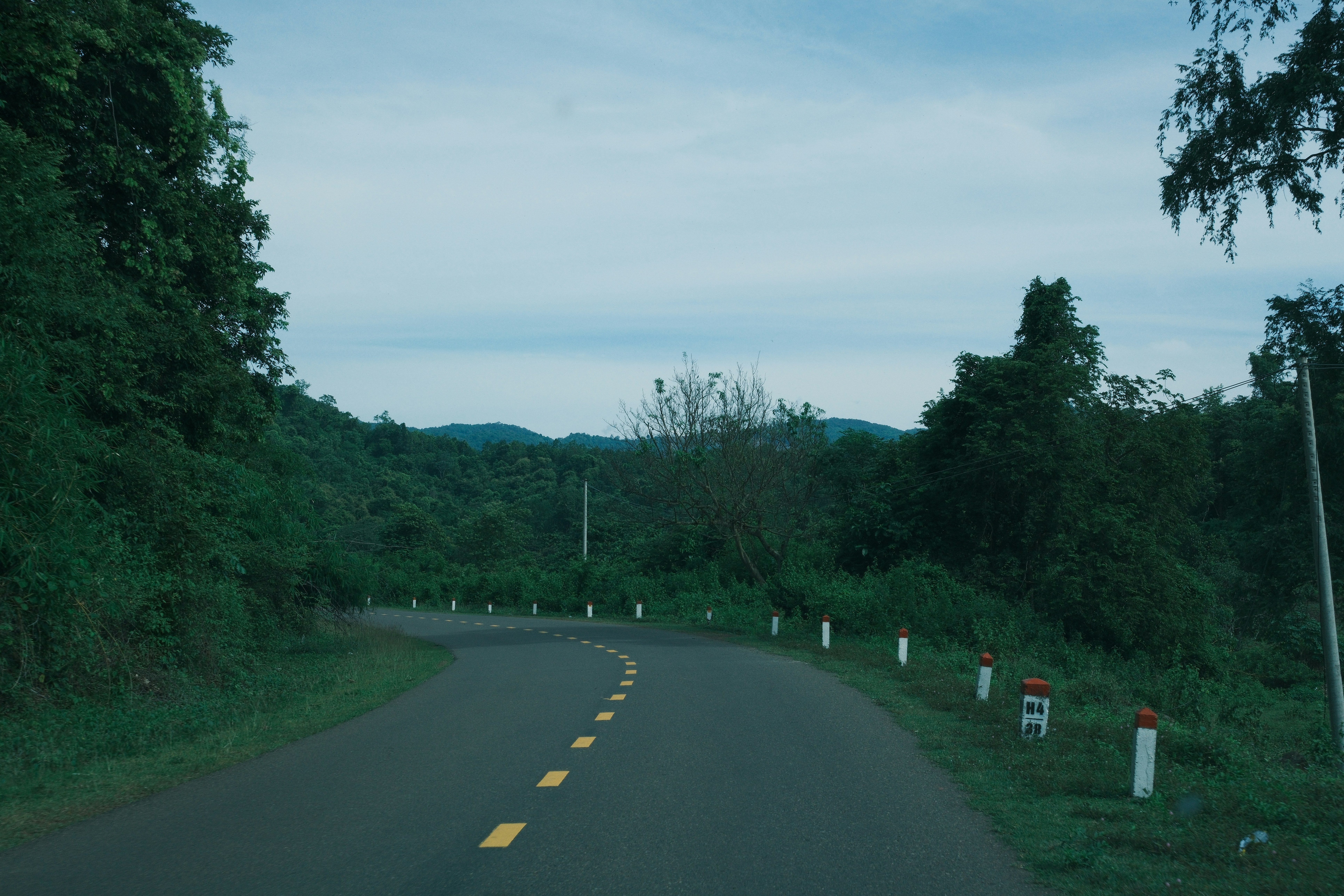 A road stretching into the distance with musical notes floating above it.