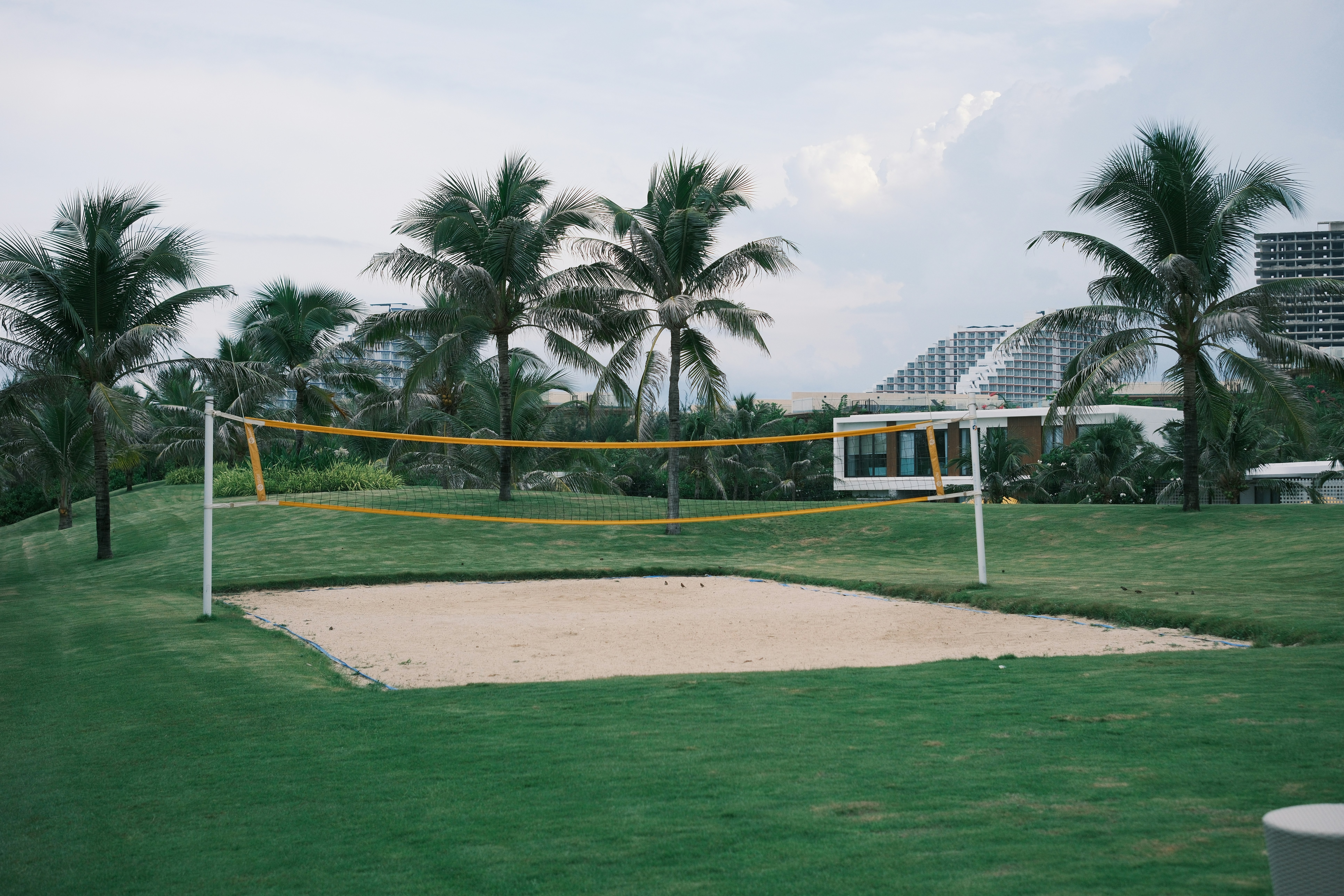 Empty sand volleyball court with palm trees and buildings.
