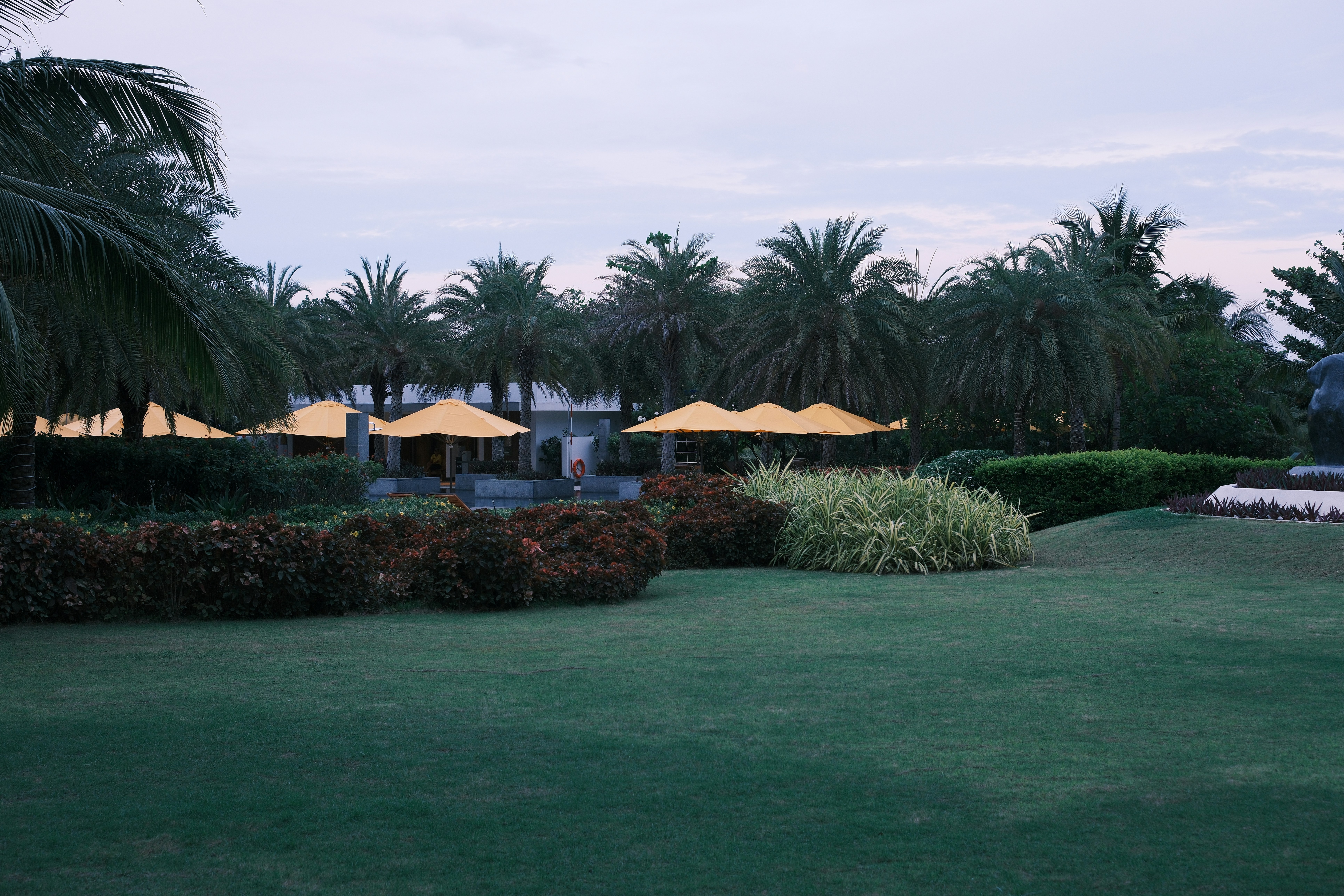 Lush green lawn with palm trees and yellow umbrellas